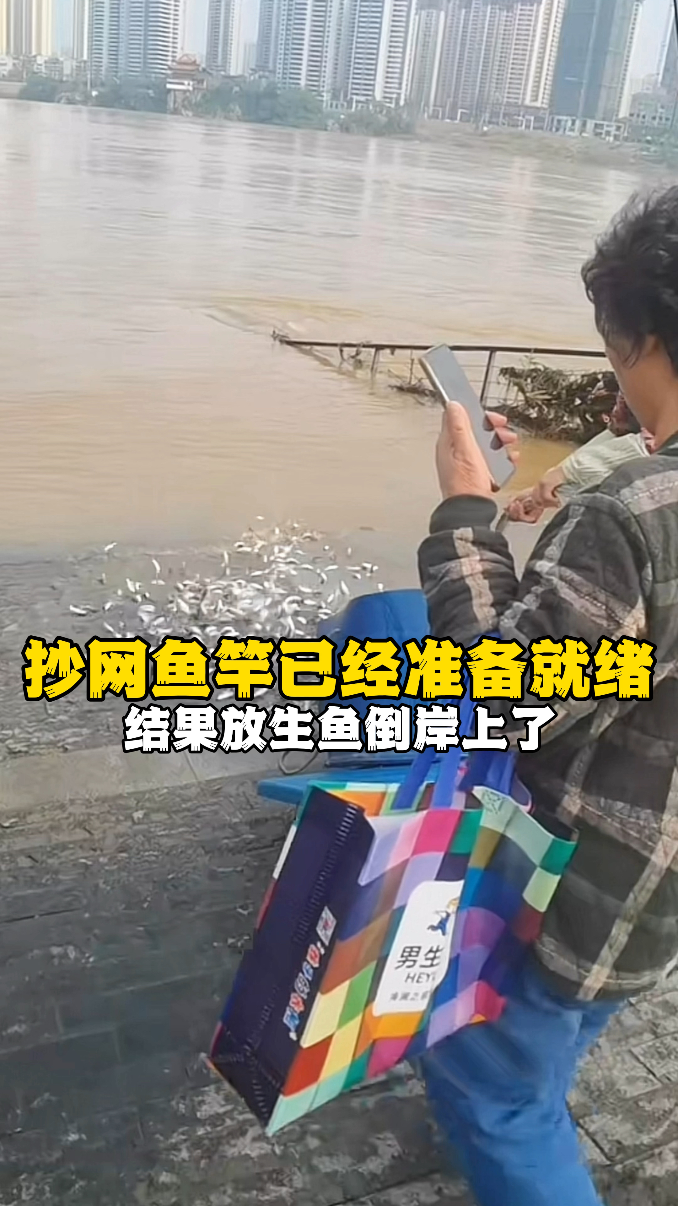 哦豁!旁边抄网和鱼竿已经准备就绪,结果放生鱼倒岸上了,看看吧