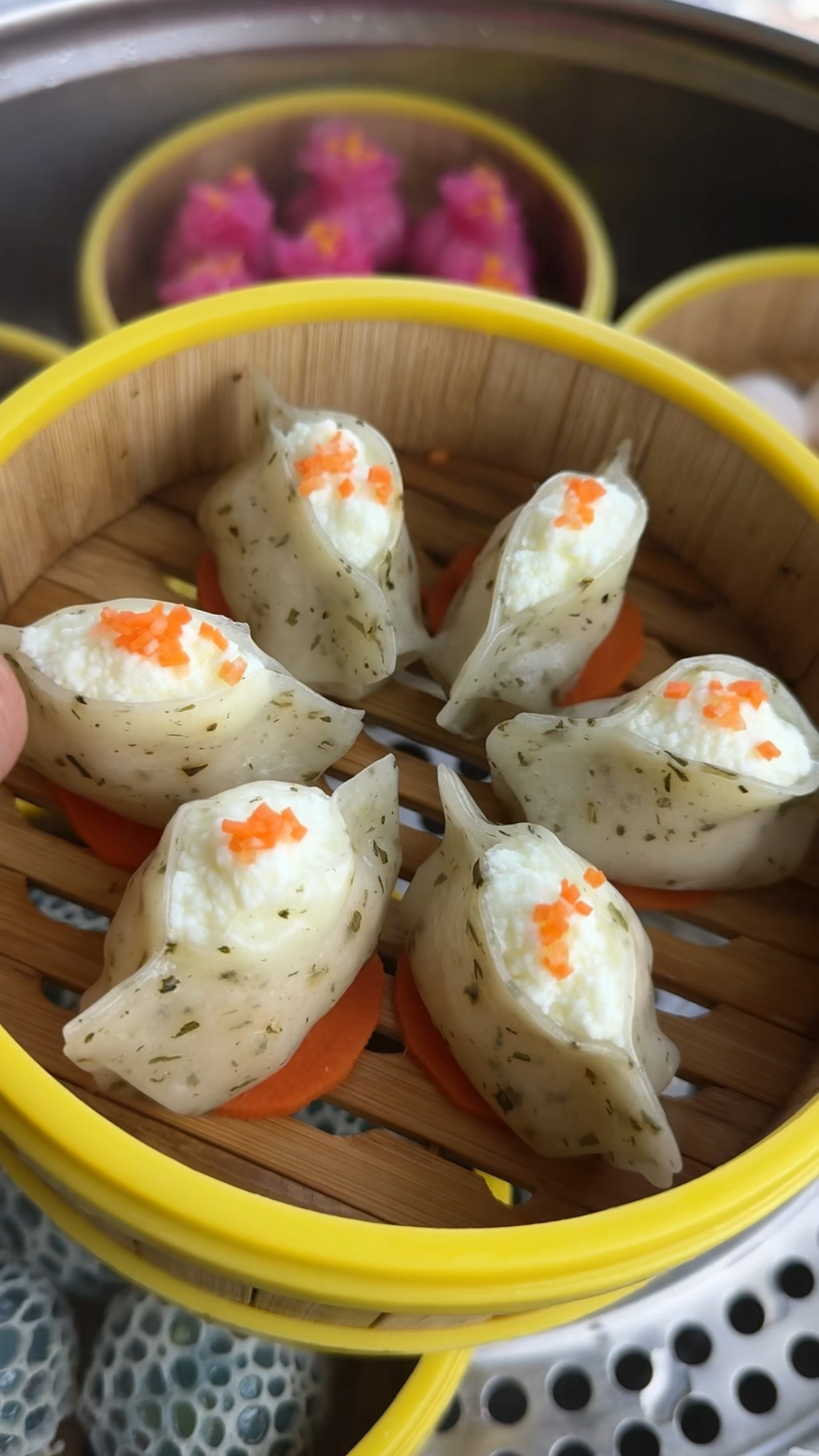 各种水晶饺子造型