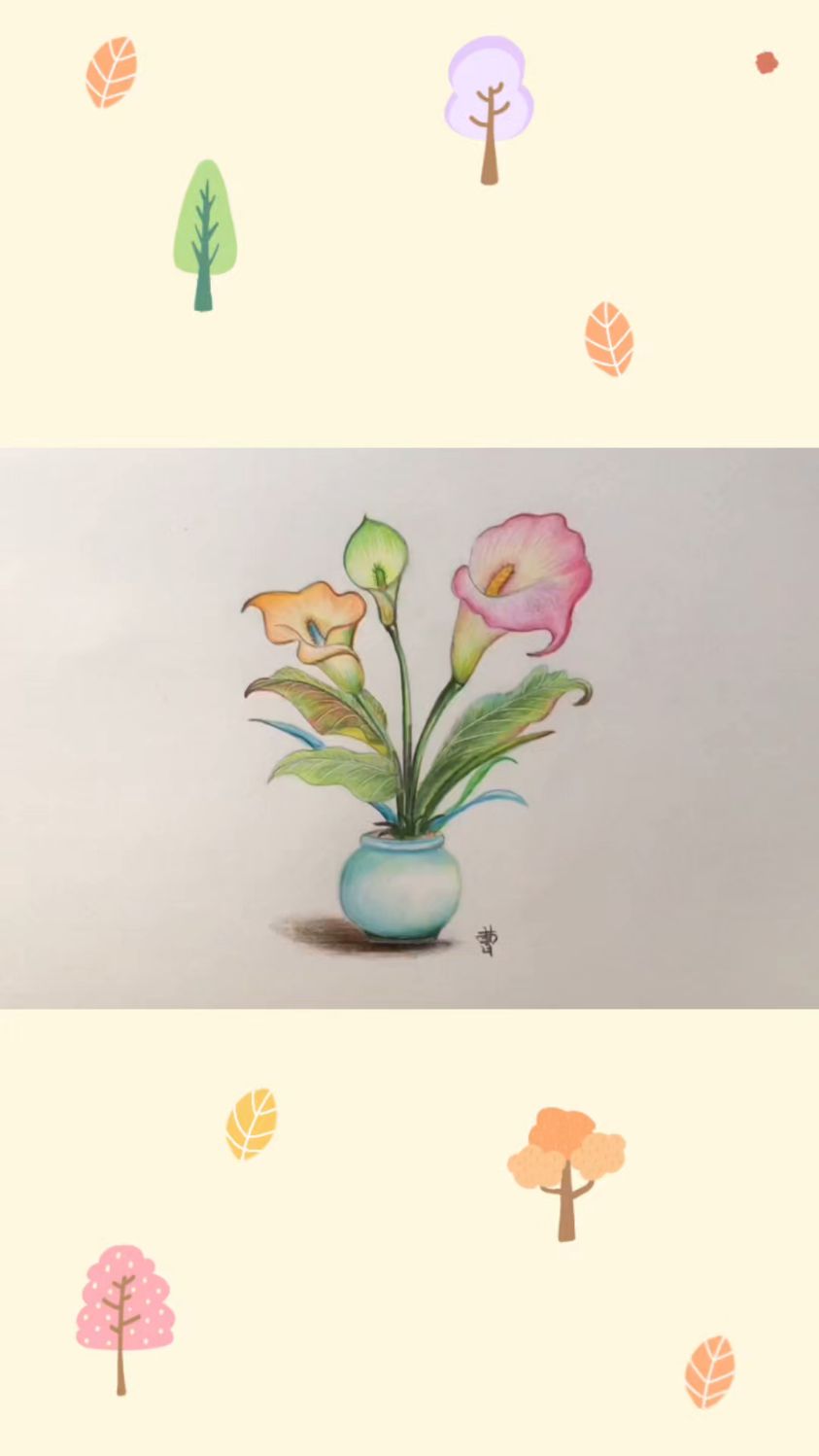 彩铅简笔画:马蹄莲彩铅绘画详细步骤