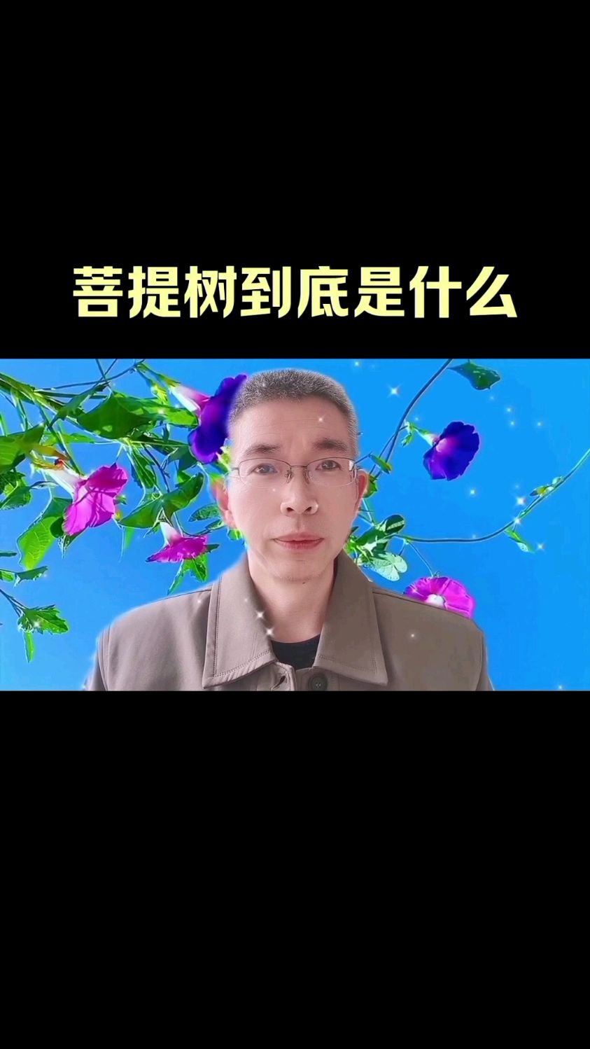 菩提树到底是什么