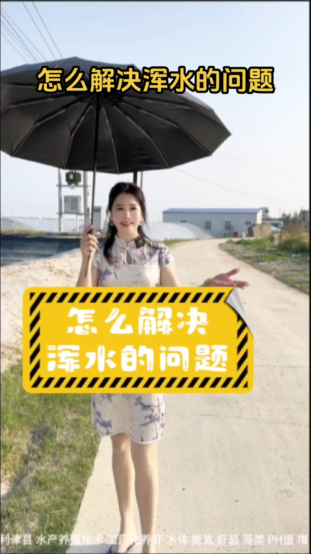 @水产养殖网红虾养虾技术怎么解决浑水的问题#南美白对虾养殖
