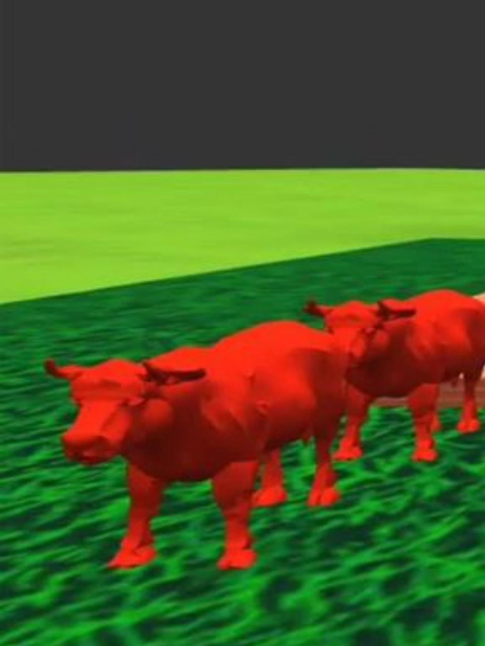 卡通动物家族:小朋友们快来认识这些厉害又可爱的小伙伴们