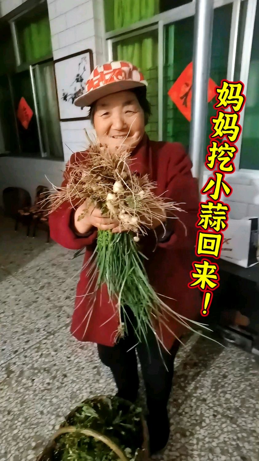 又到吃野菜 的季节了!妈妈刚刚从地里挖野菜回来了,种类还挺多!