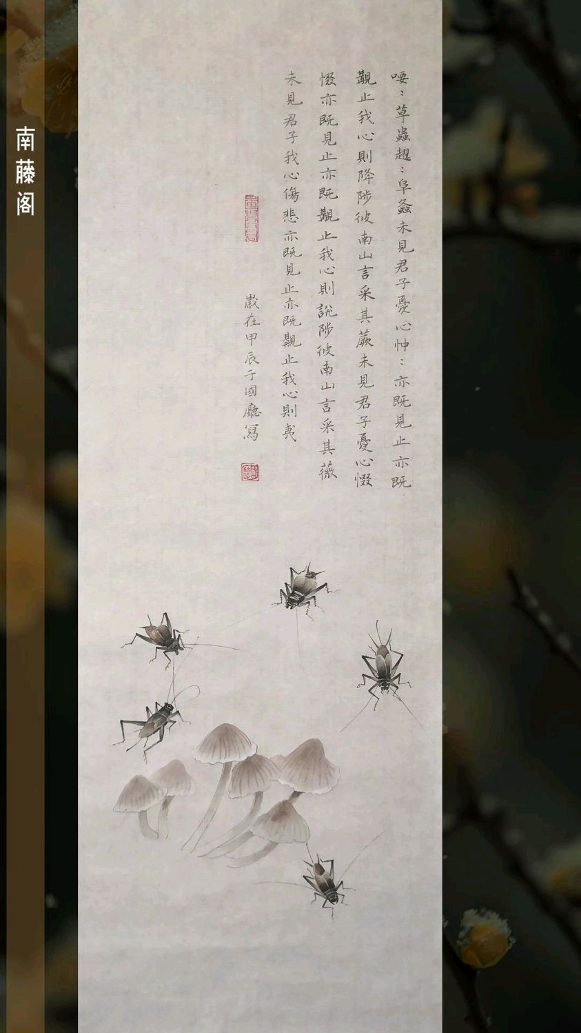 工笔蝈蝈来咯,请欣赏