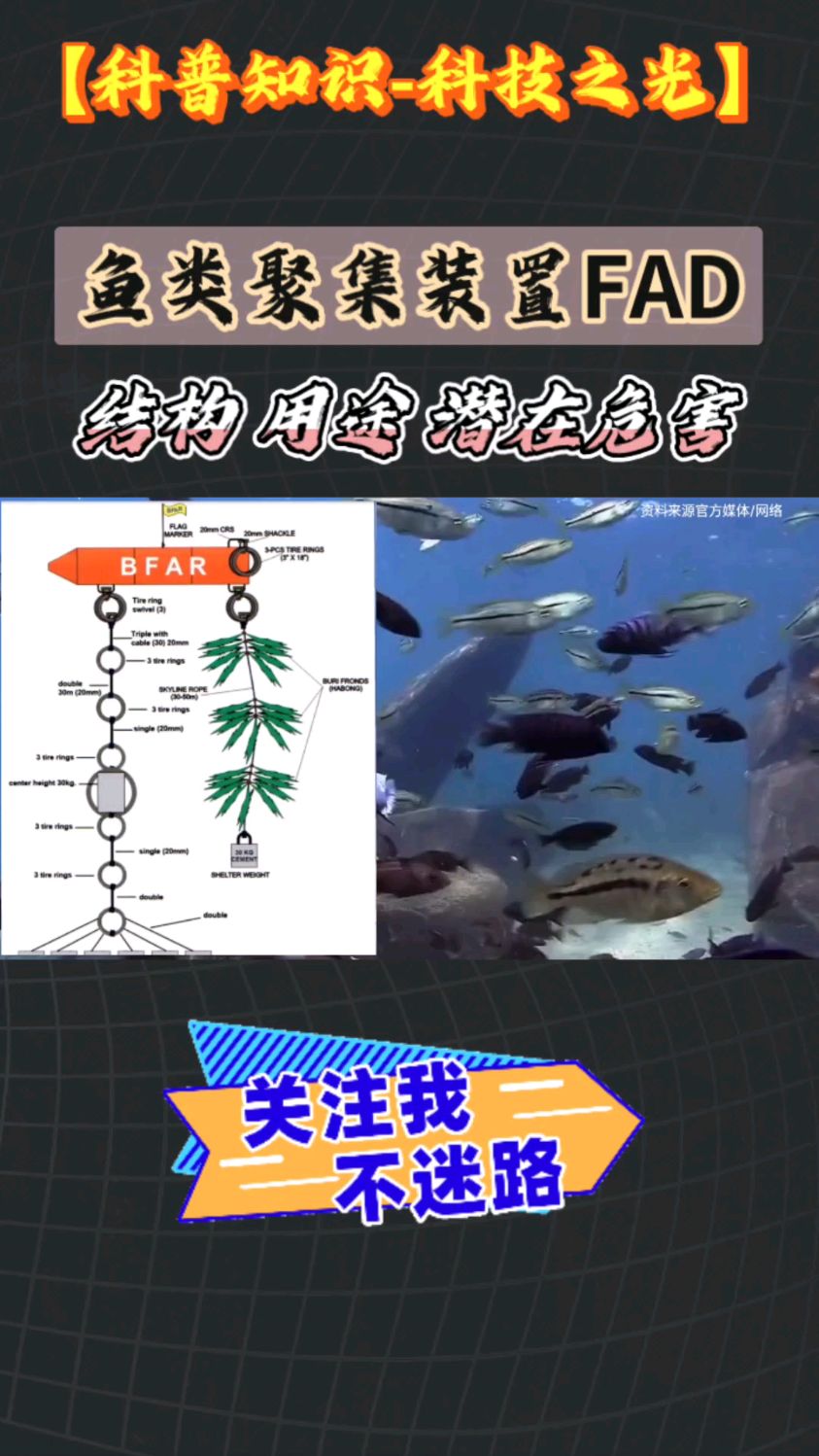 浅谈鱼类聚集装置FAD:结构与用途,以及潜在的生态环境安全问题