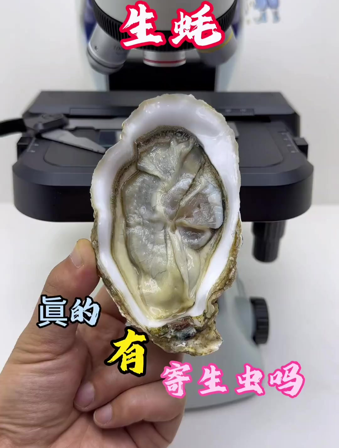 生蚝里面真的有寄生虫吗?