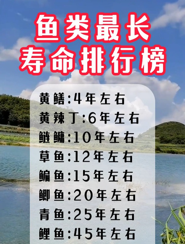 鱼类最长寿命排行榜!有的鱼竟然能活100年?
