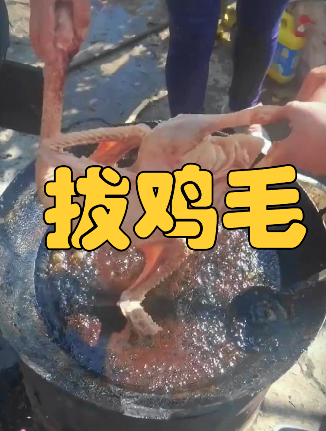 这样拔鸡毛,有懂的吗?