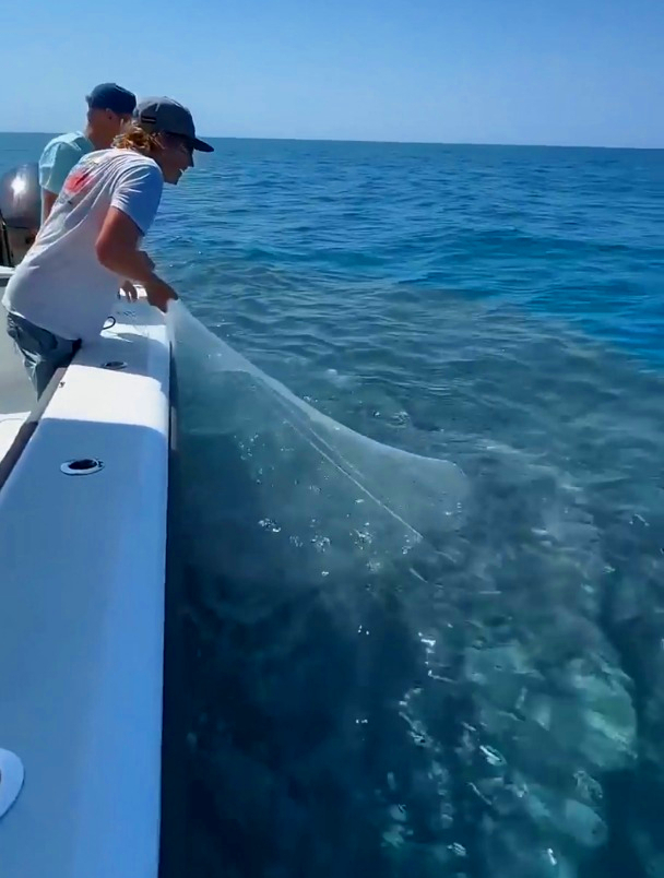 海鱼扎成了堆,一网下去最少过百斤!