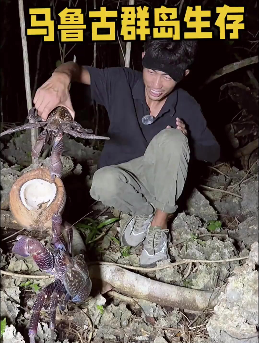 潜水找食物叉到八爪鱼和龙虾,享受完后开始寻找巨型椰子蟹