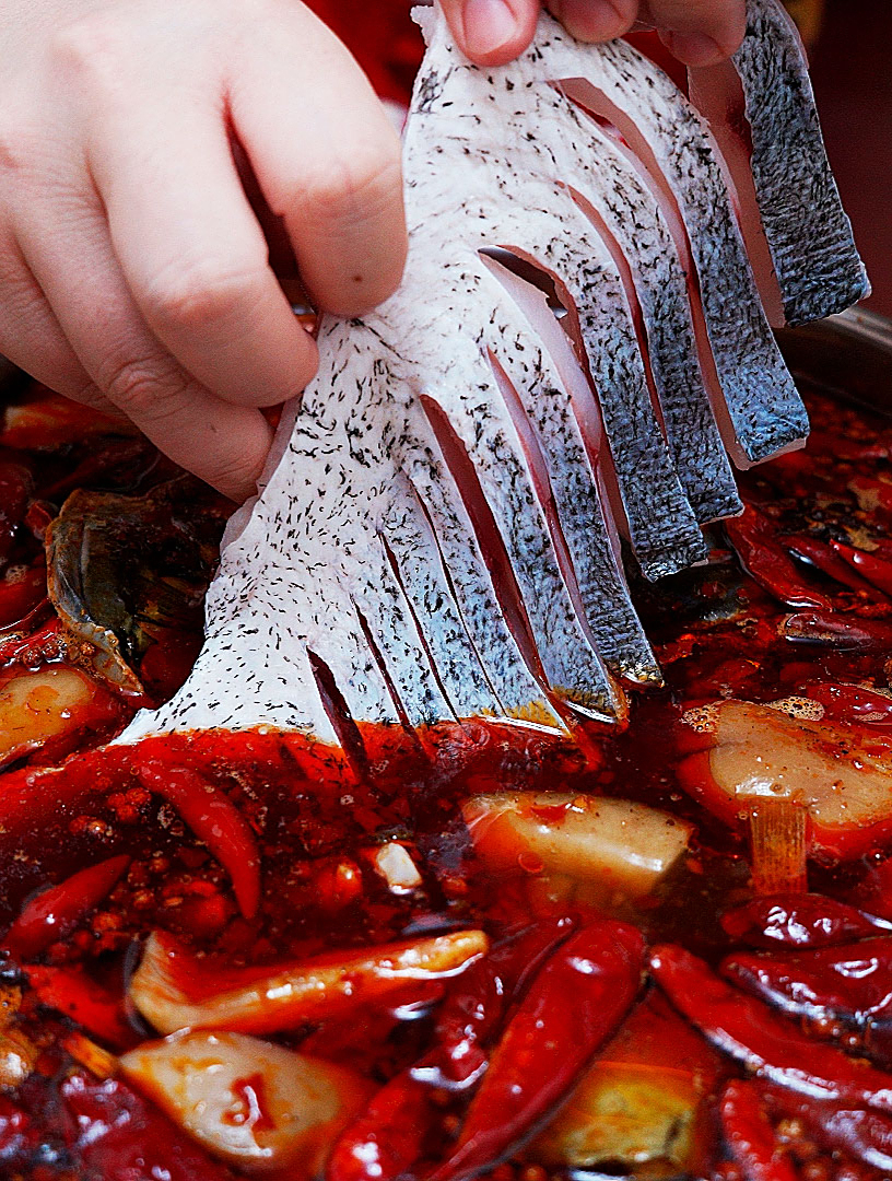 重庆鱼火锅,新鲜的食材就用最简单的吃法