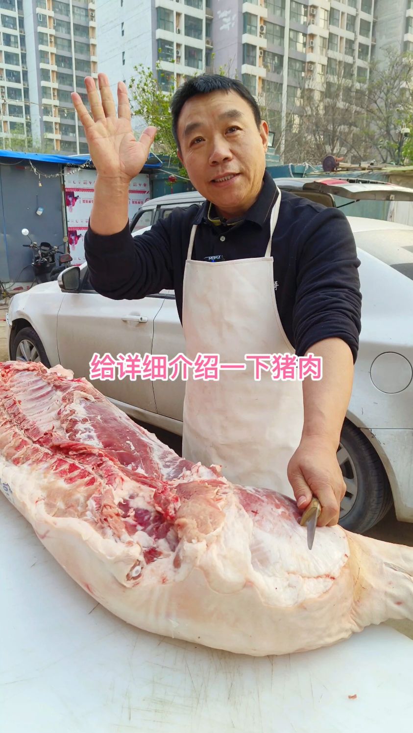 给大家详细介绍一下猪肉
