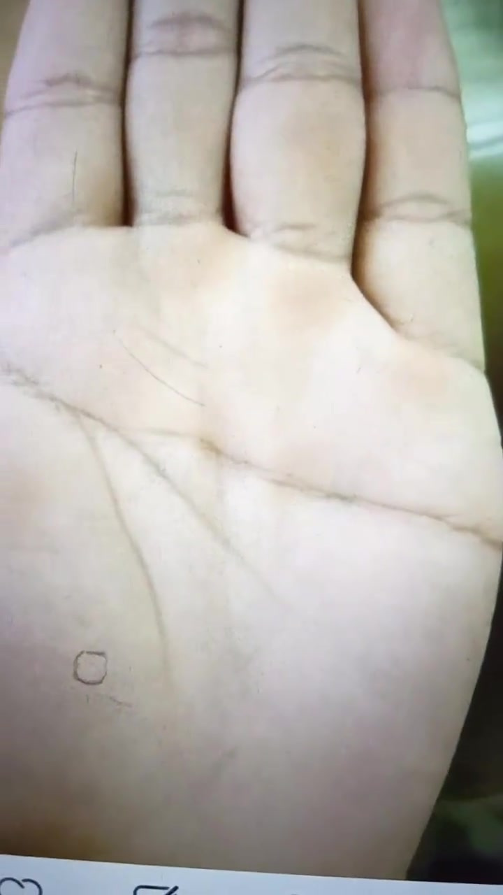 来看一个鸡爪型的掌纹