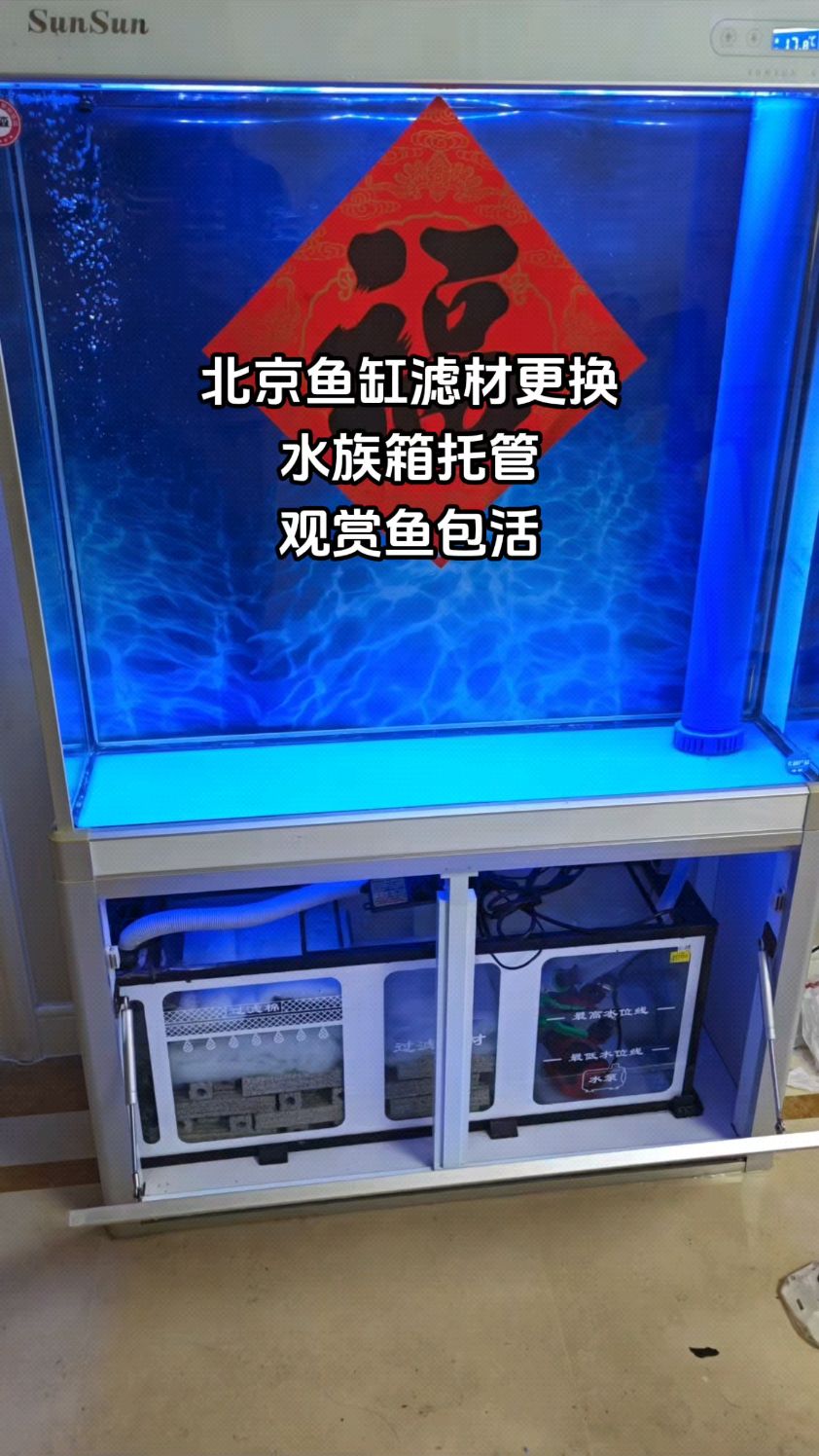 北京专业上门清洗鱼缸滤材更换,水族箱托管维护观赏鱼包活服务