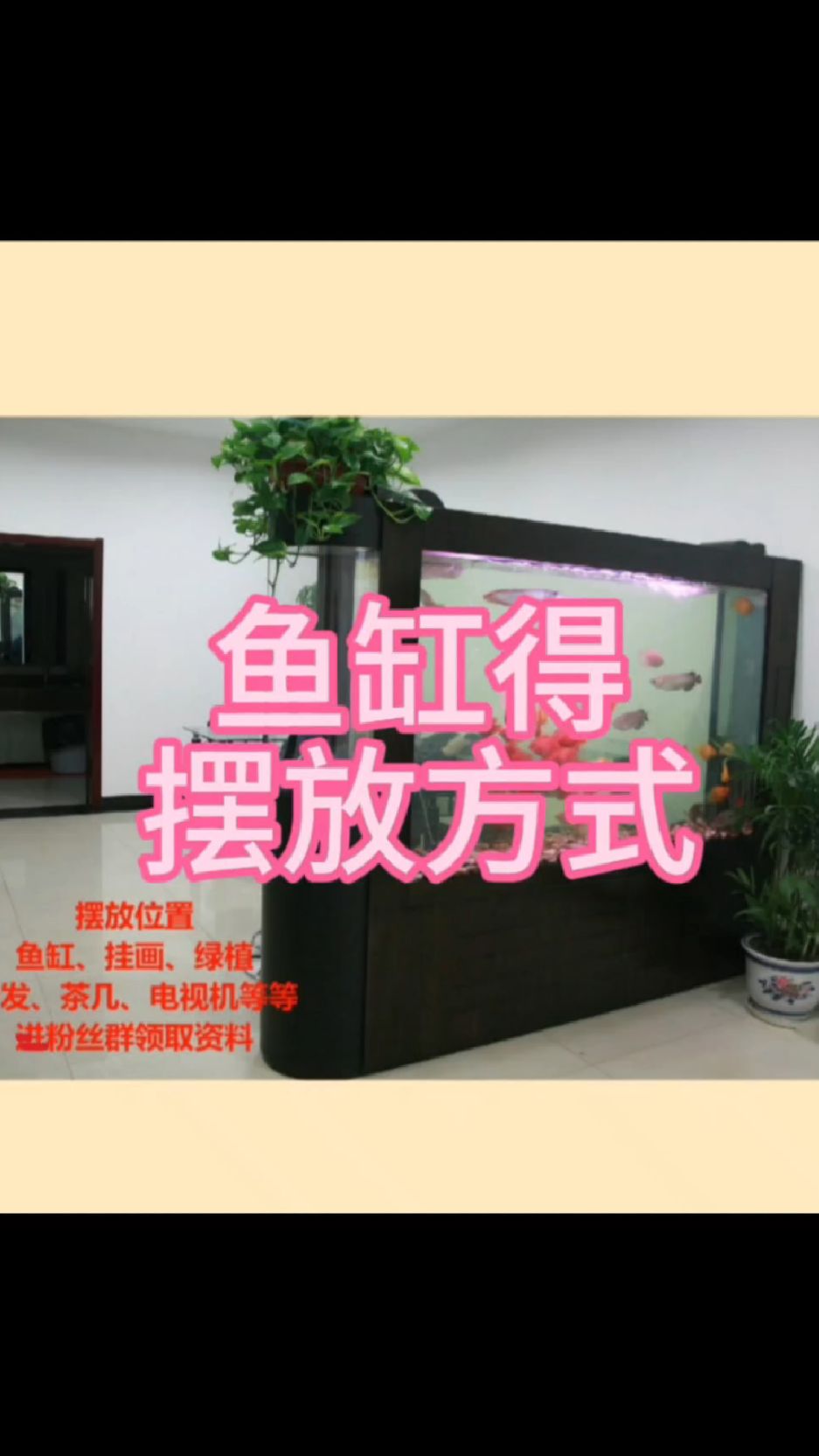 鱼缸想要摆放什么位置?是有方法技巧得,