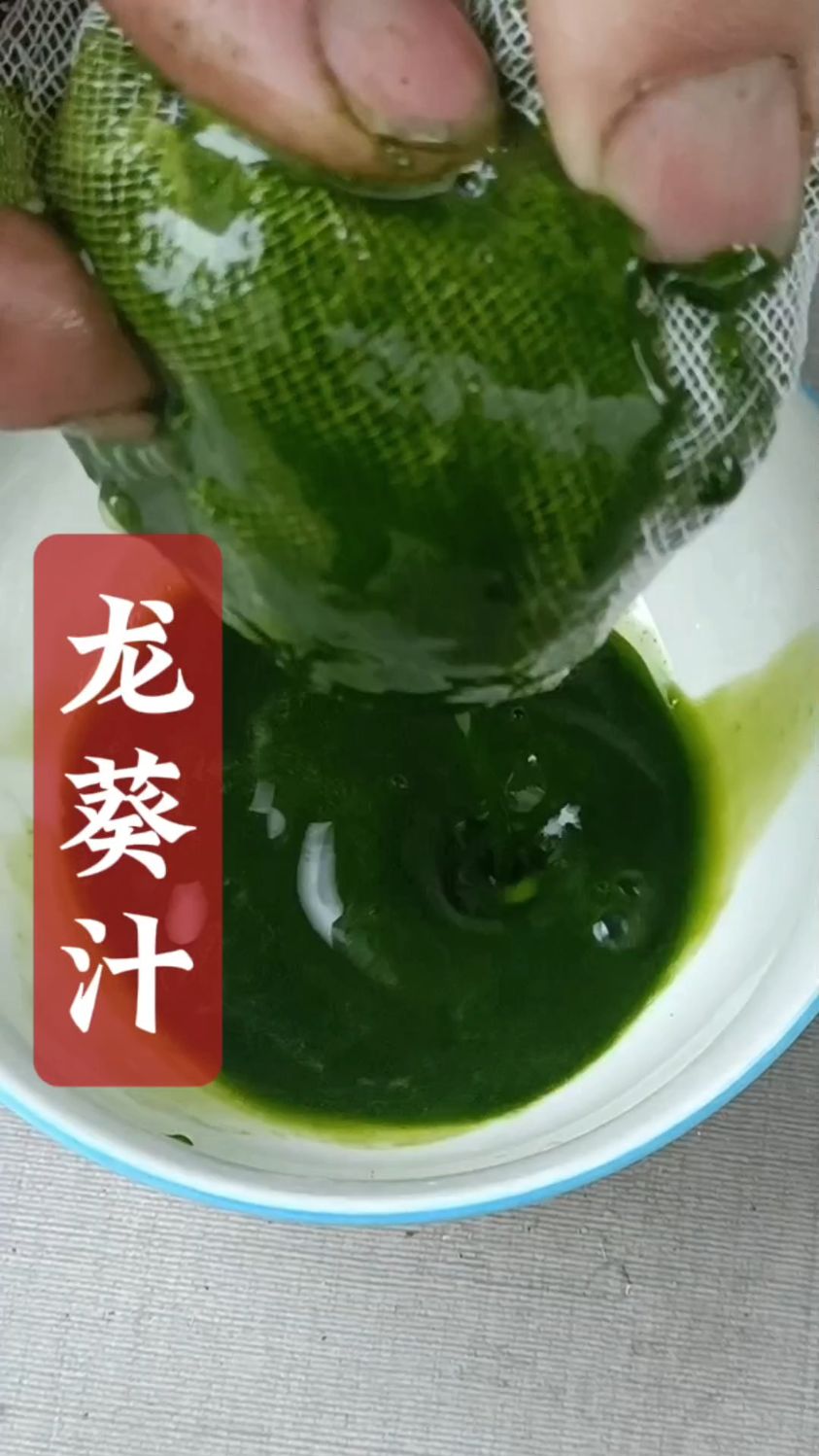龙葵菜,现在这季节特别多,它的价值非常高