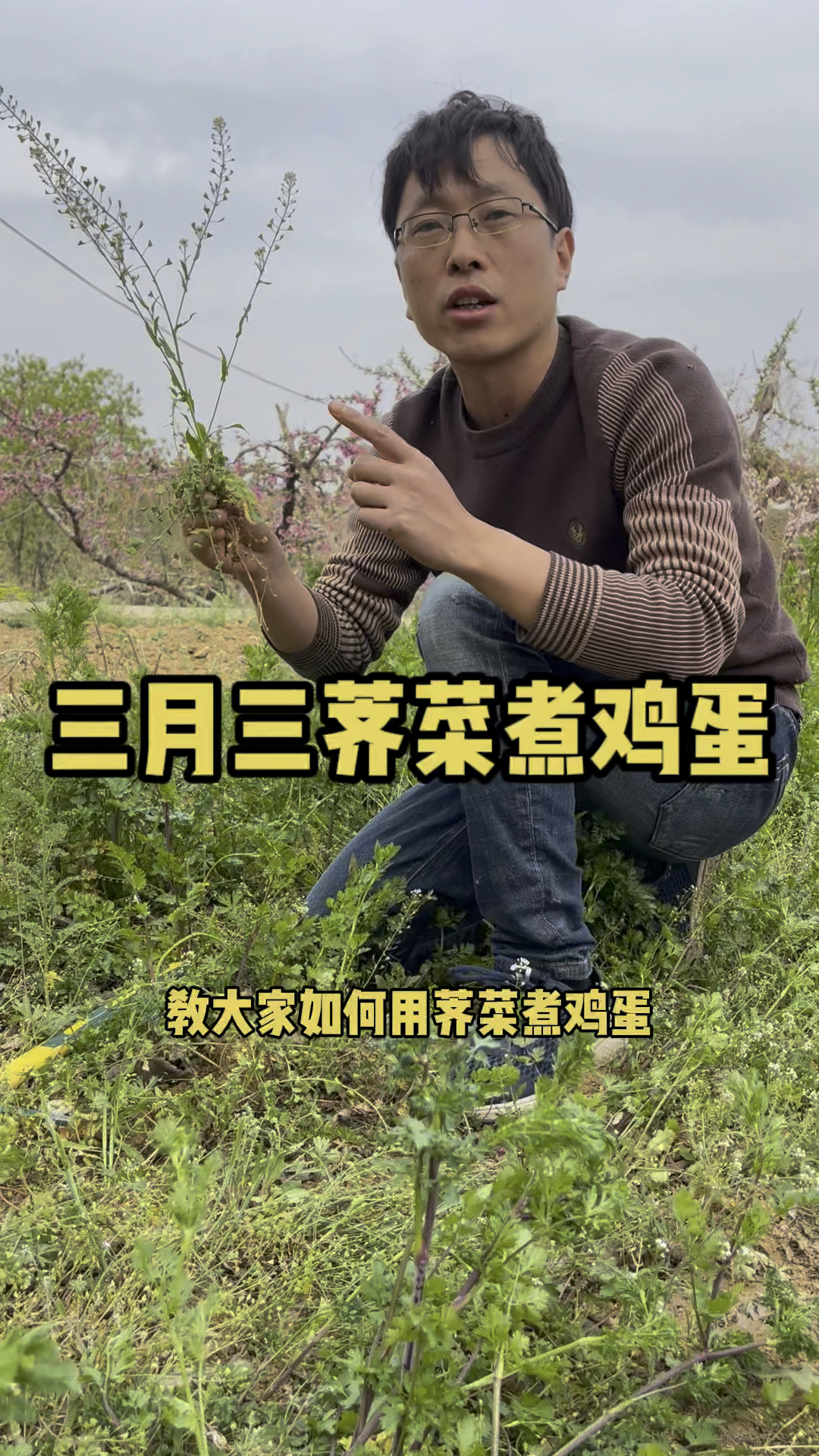 三月三荠菜煮鸡蛋