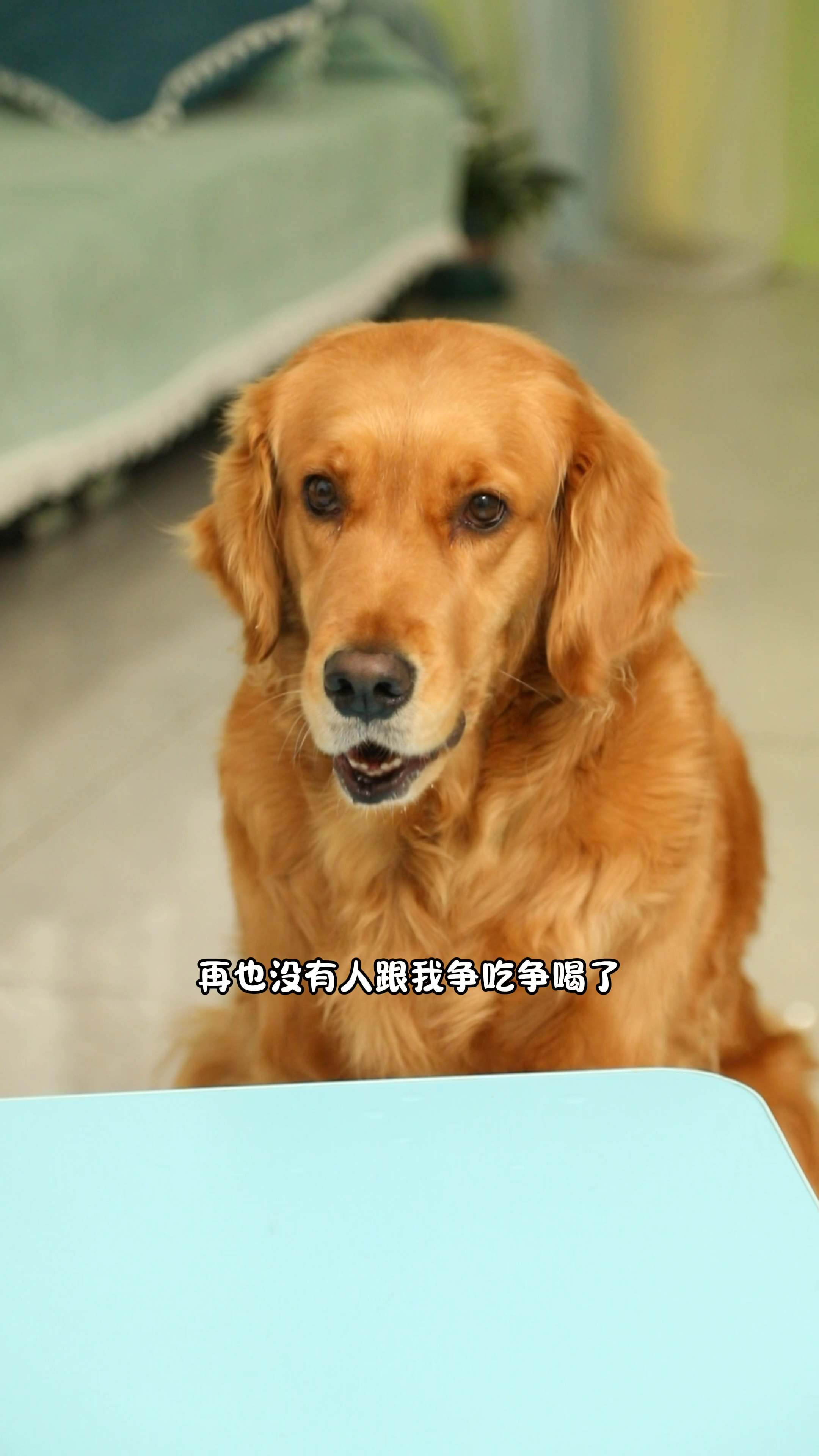 万万没想到奶茶这么坏