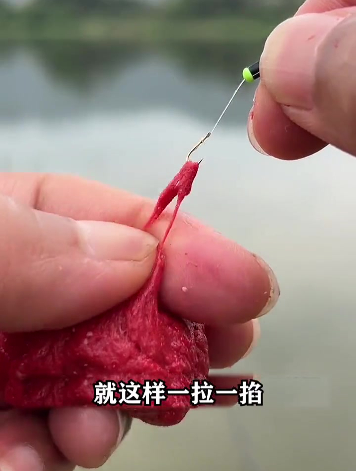 面筋饵专用溪流钓石斑鱼,但90%钓友都弄错,老手演示正确方法!