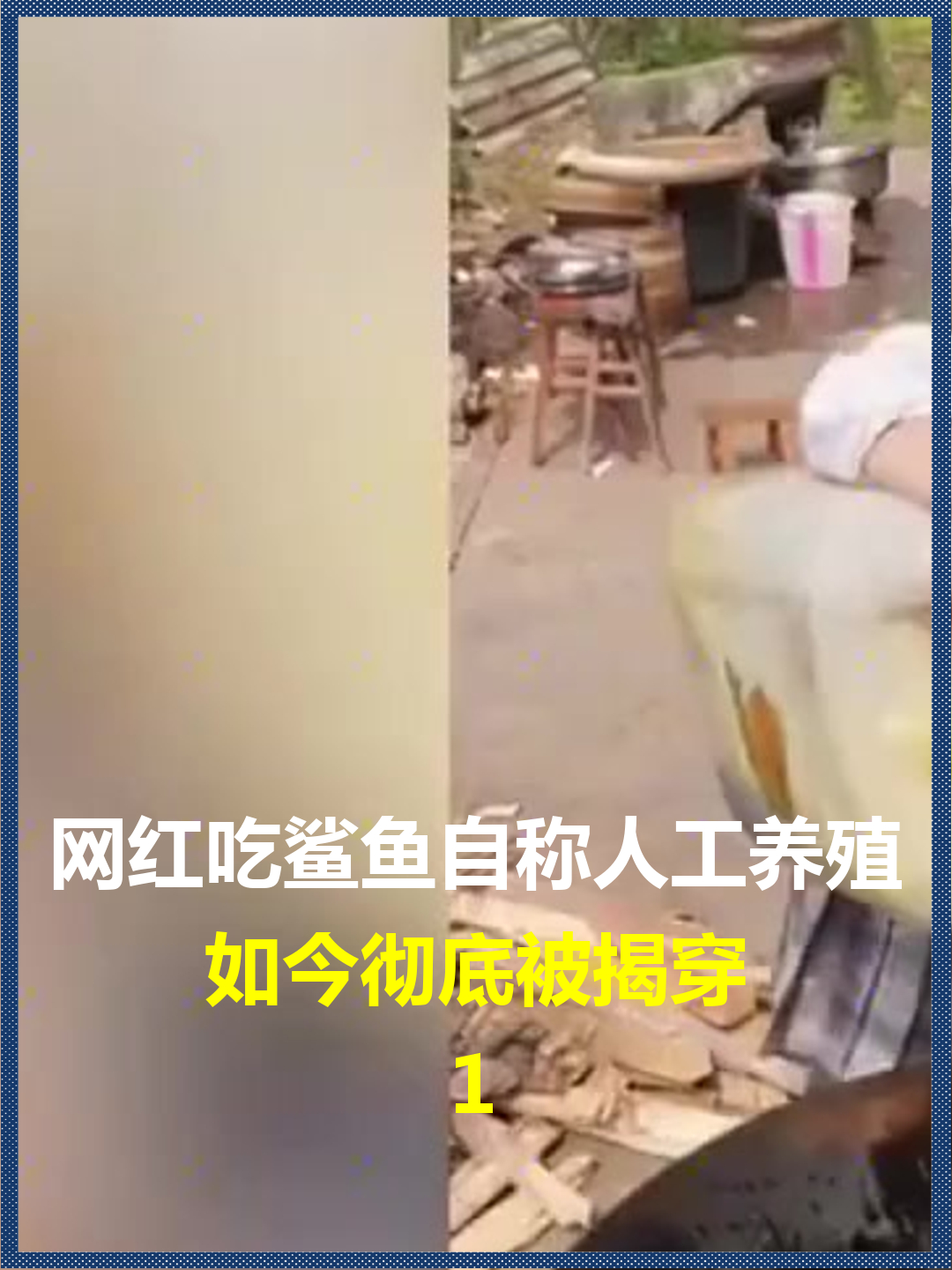 网红吃鲨鱼自称人工养殖?如今彻底被揭穿,为何大白鲨无法进行养