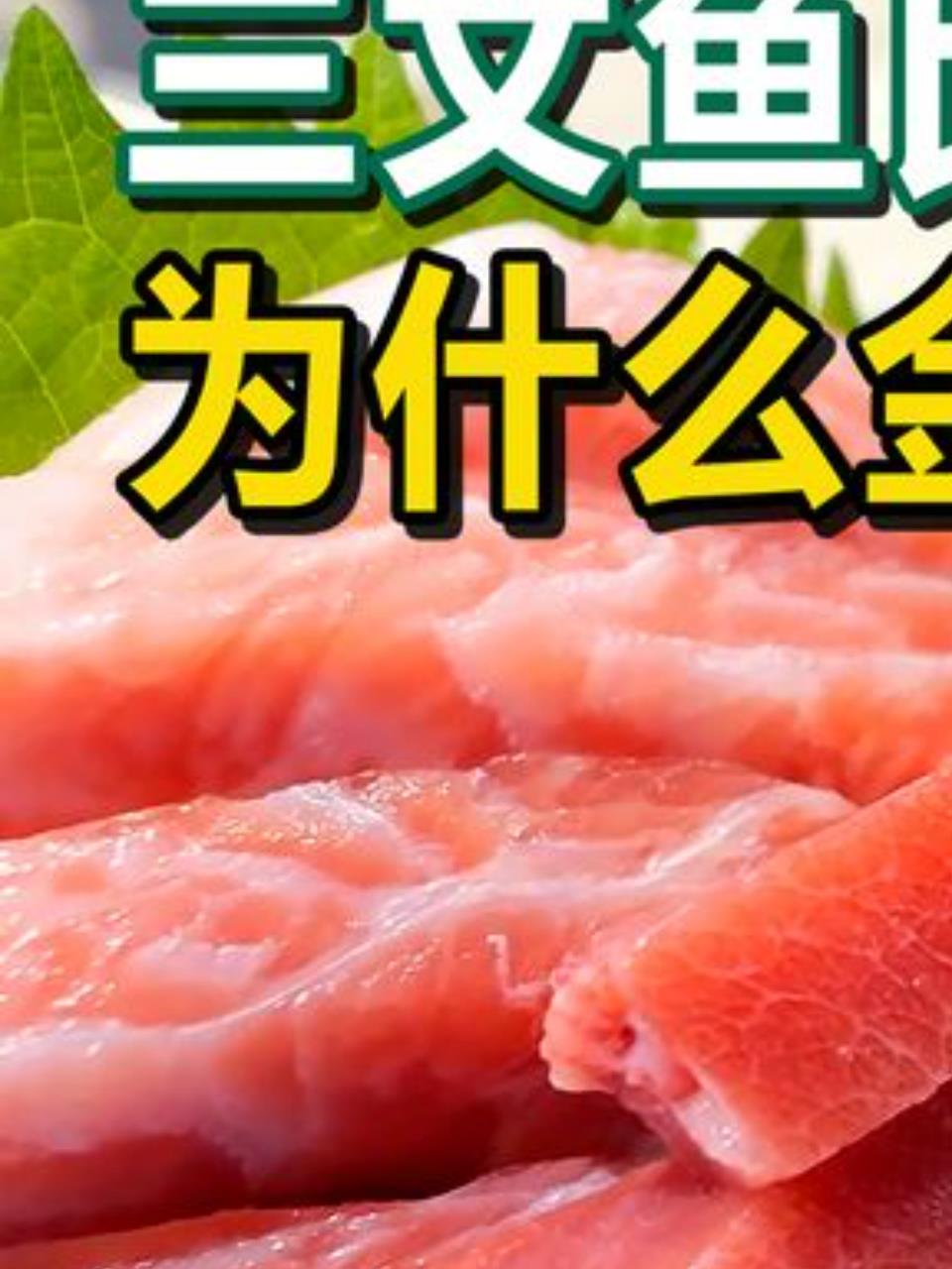 金枪鱼上岸后的惊人切割过程,揭秘三文鱼贵的原因!1