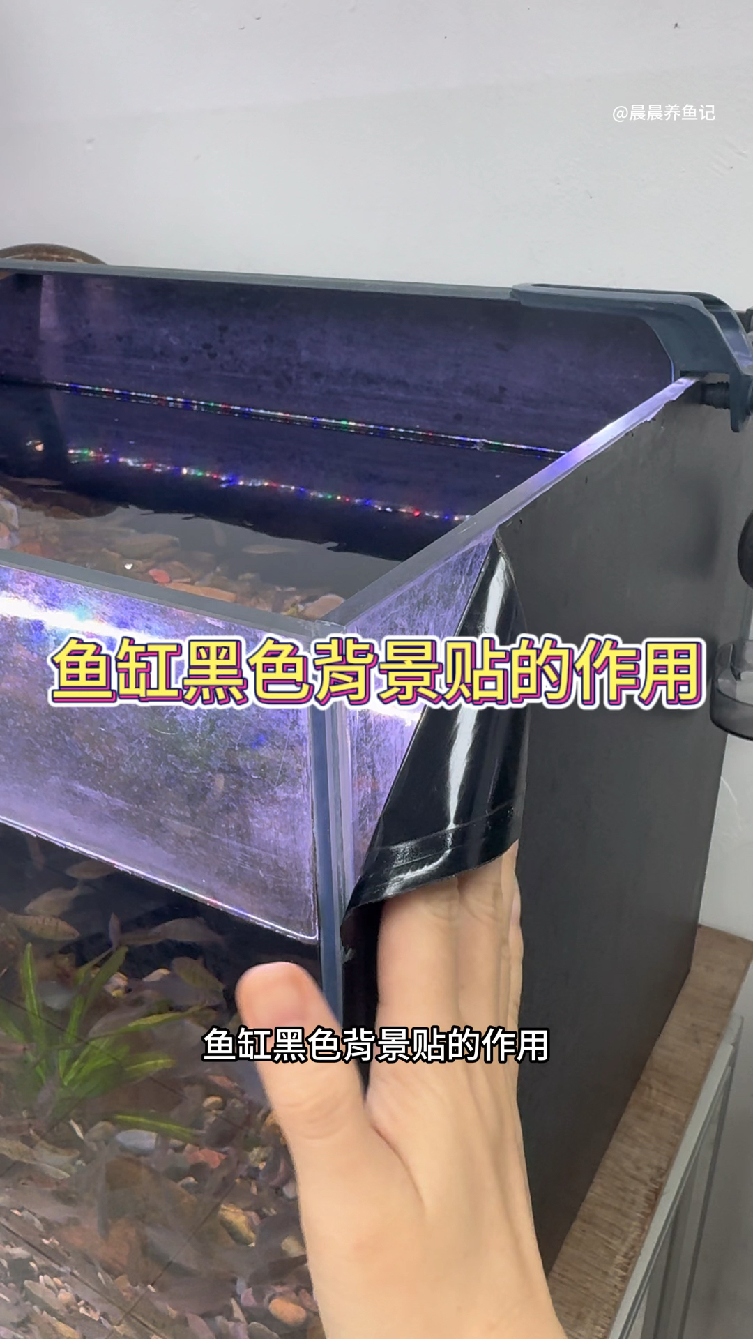 鱼缸黑色背景贴的作用