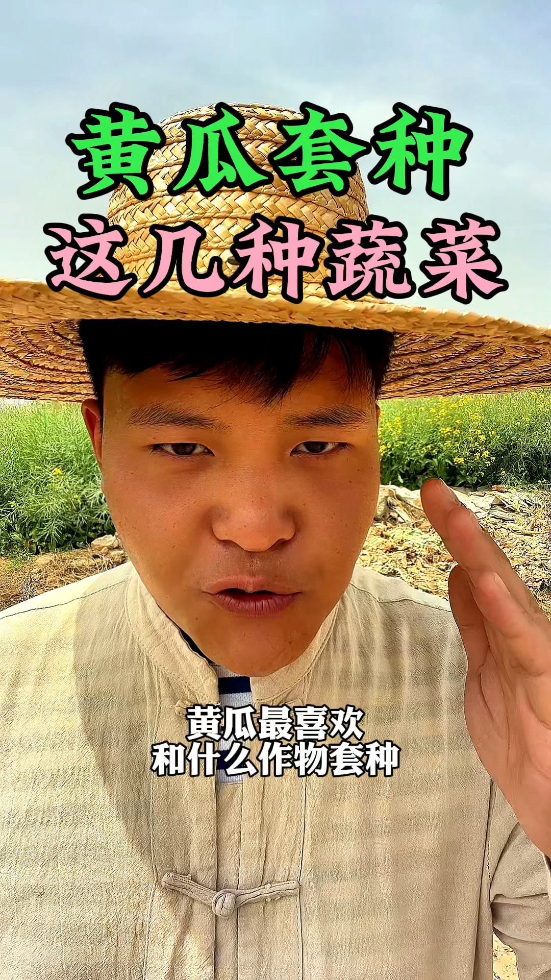 黄瓜种植喜欢和什么蔬菜一起套种呢,今天分享给大家