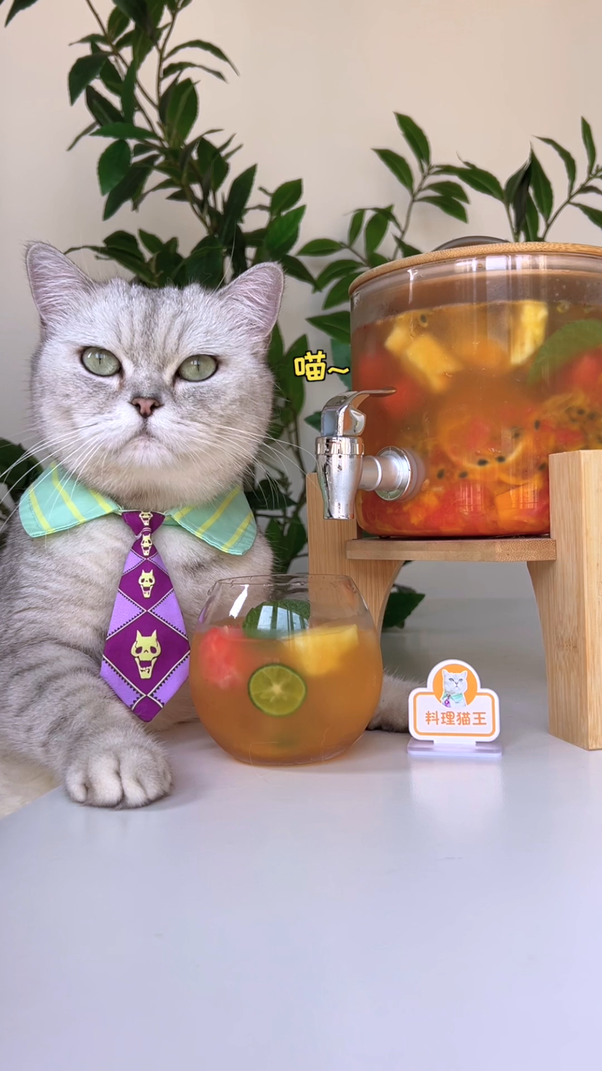 猫王:每年都必须喝的王炸水果茶,巨好喝