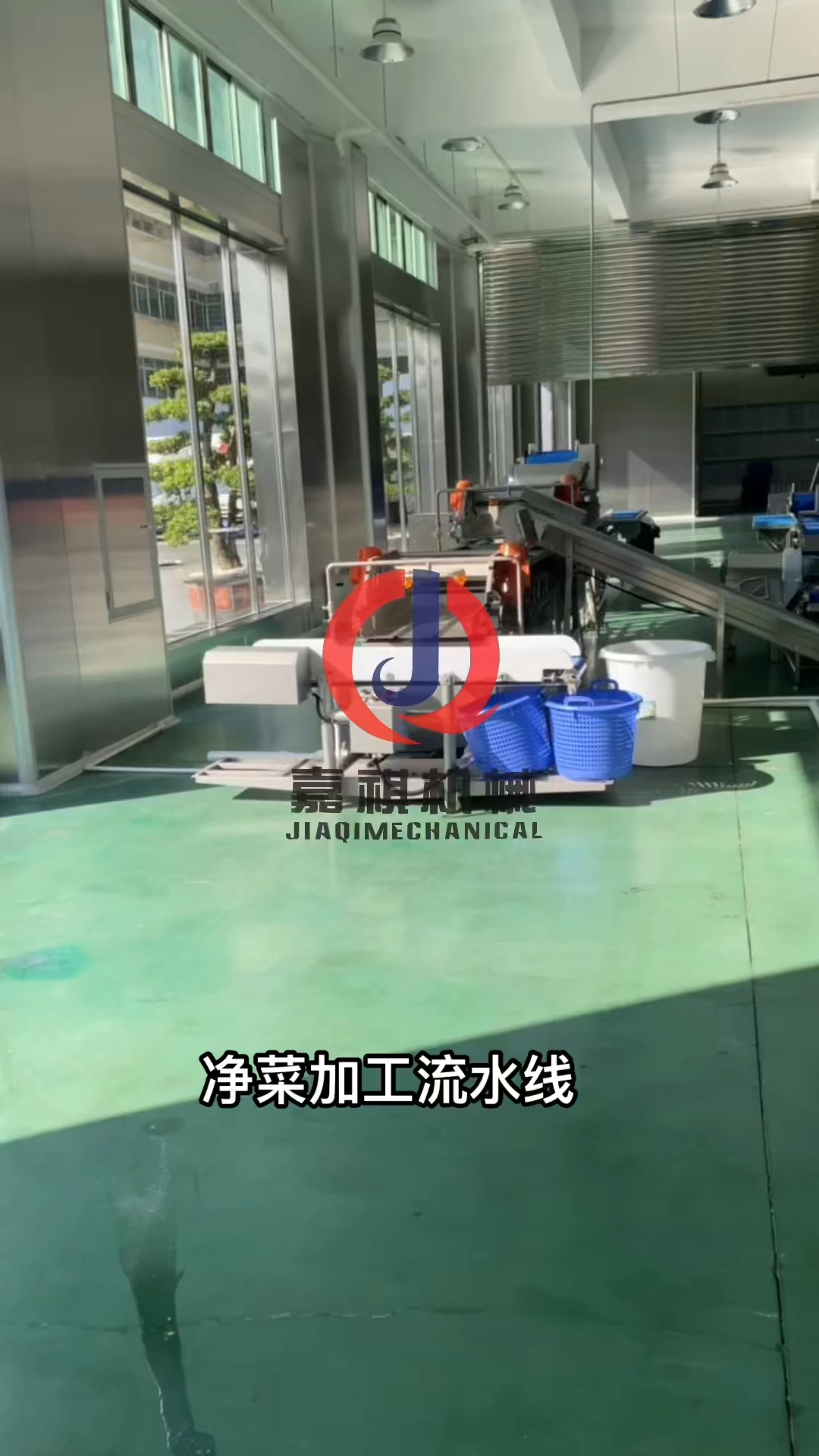 净菜加工流水线设备专业生产厂家