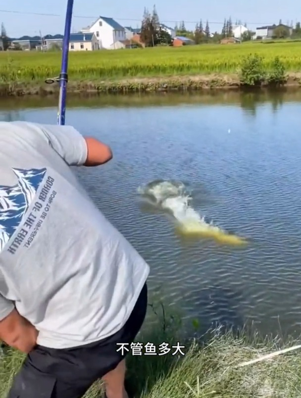 号称1.0主线也能轻松狂拉10斤大鱼!这款线组测评竟大失所望?