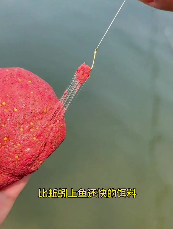 面筋饵专用溪流钓石斑鱼,但你真的会用吗?