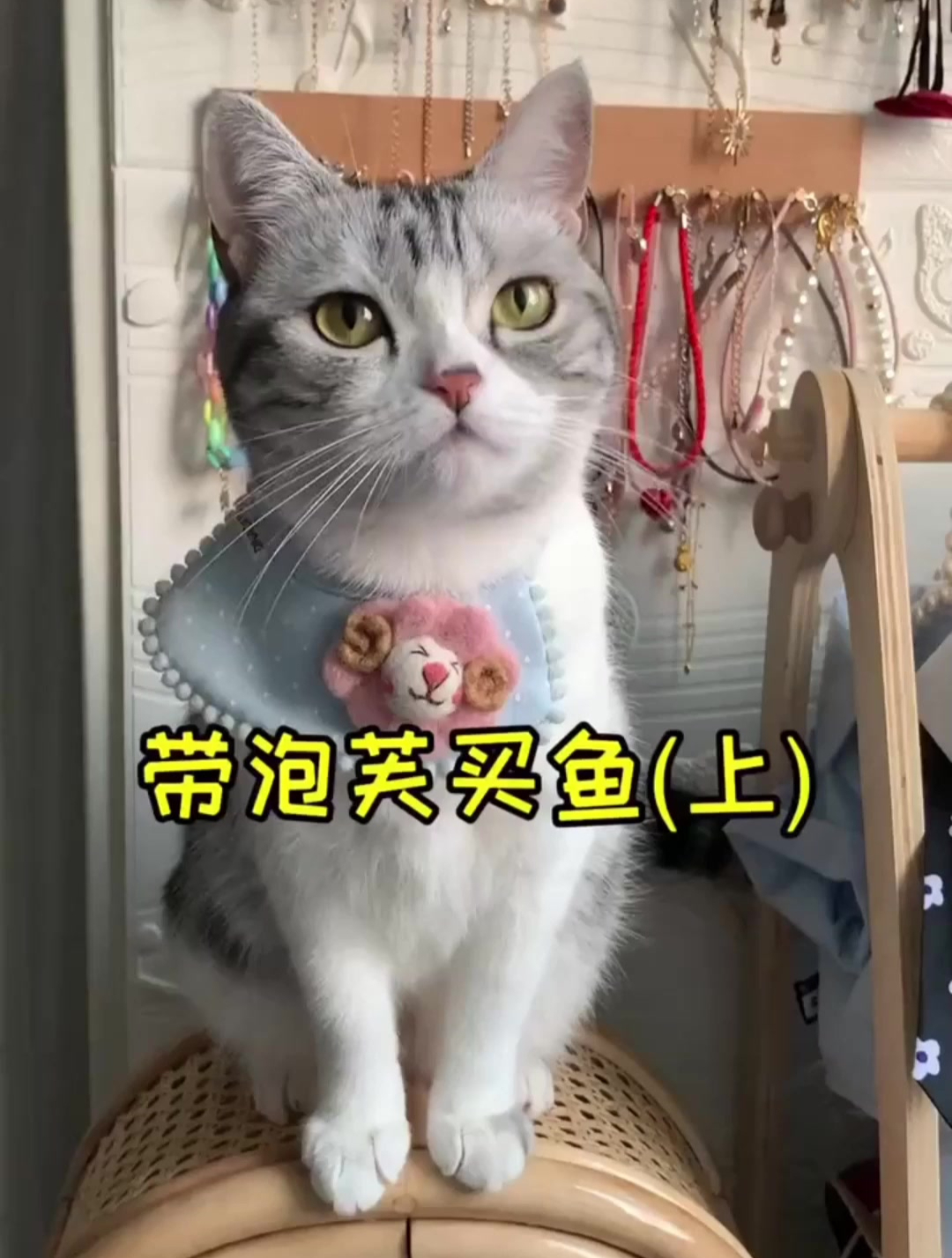 带着泡芙去买鱼,原本想给新家增添点人气儿 结果……