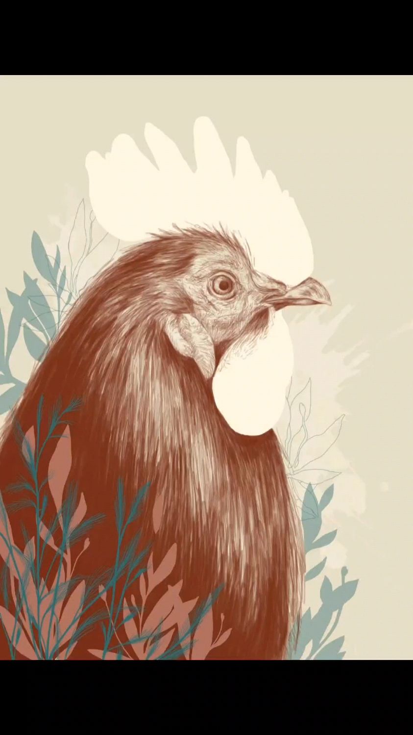 西班牙插画师Mnica Alda Sanz (融合水彩 钢笔 石墨 数字)