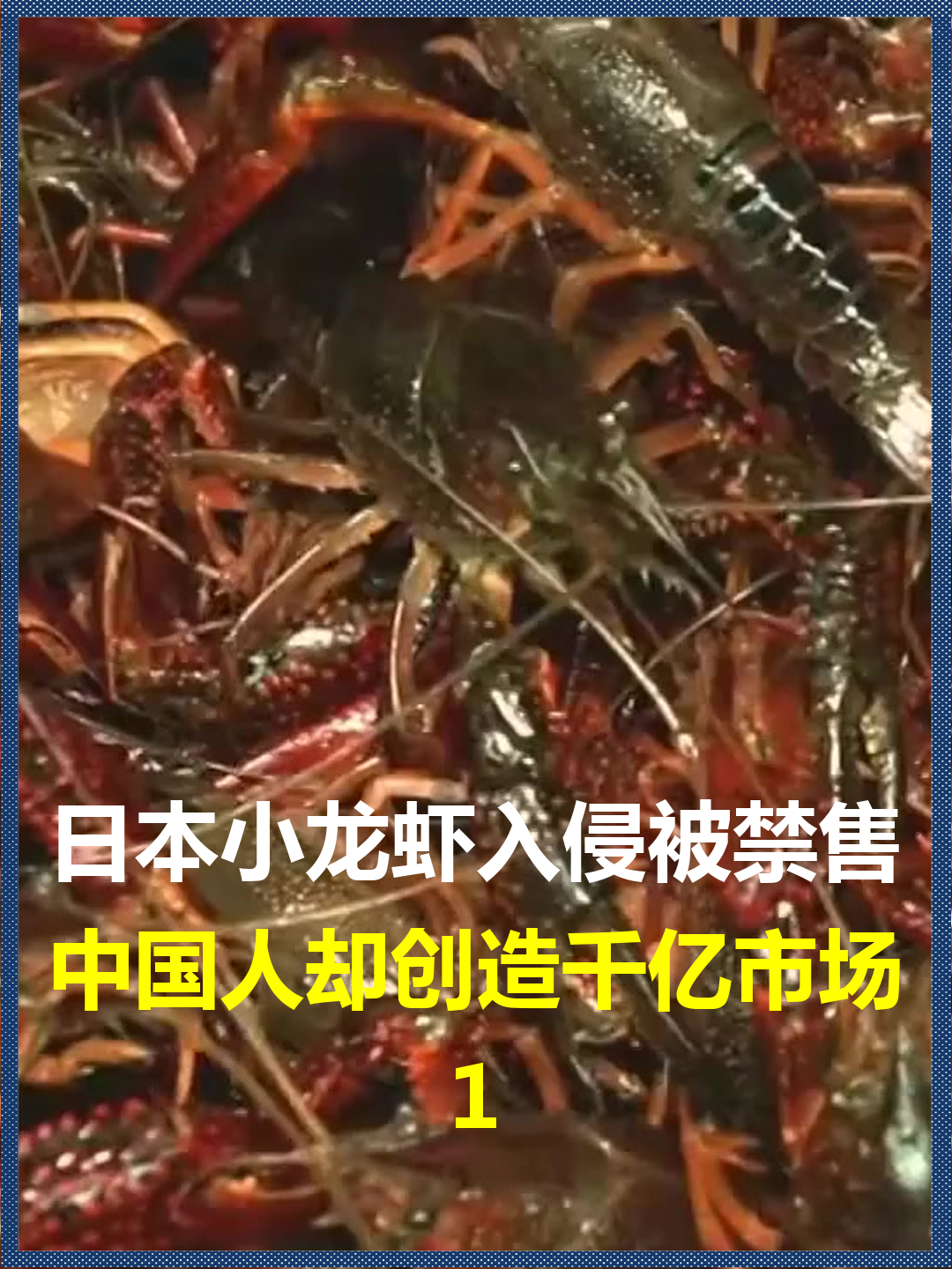 日本小龙虾入侵被禁售?中国人却创造千亿市场