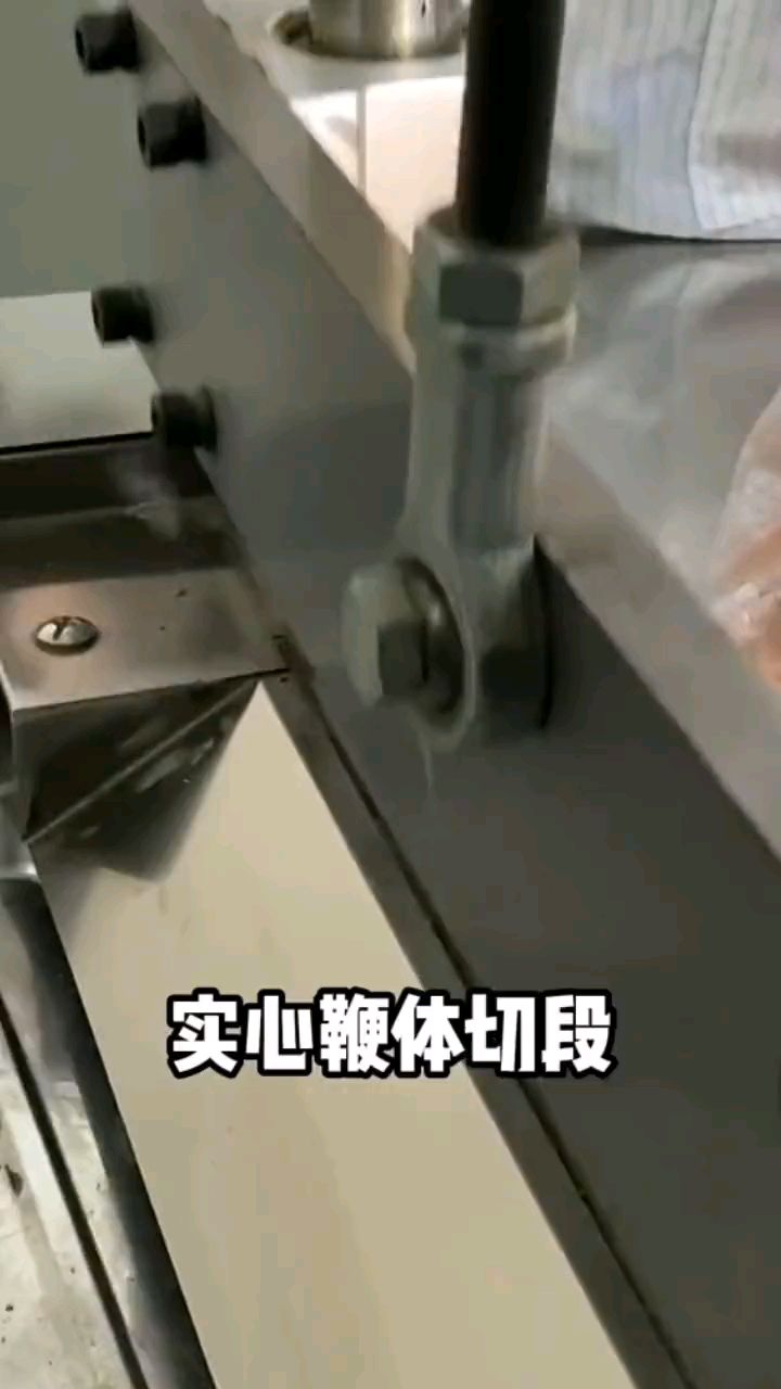 梅花鹿农村致富鹿