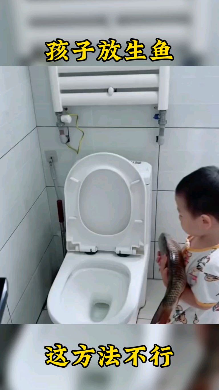 孩子把大鱼放马桶里,放生