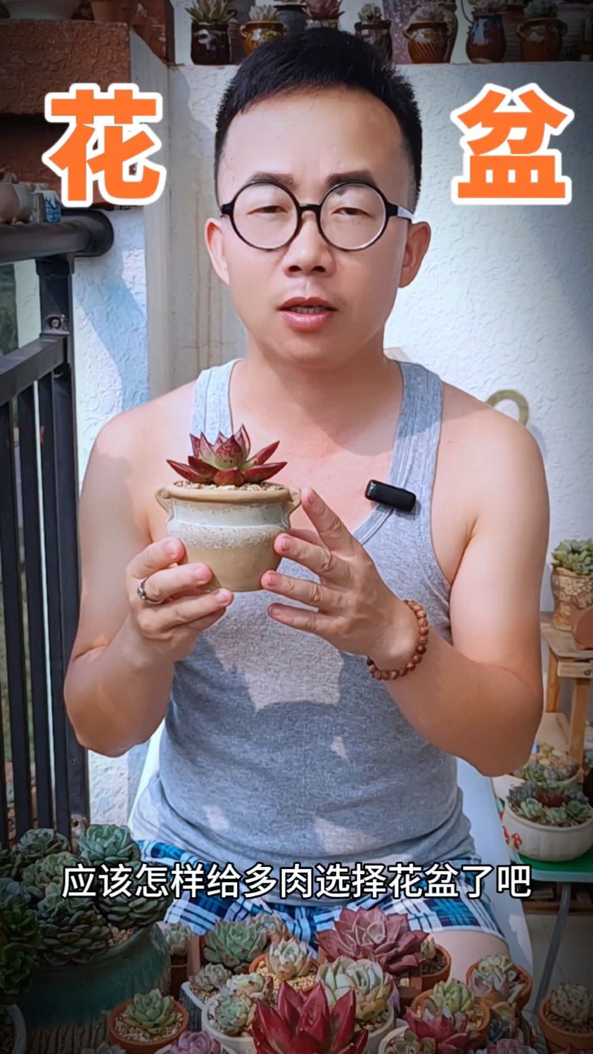 养多肉应该用什么样的花盆?