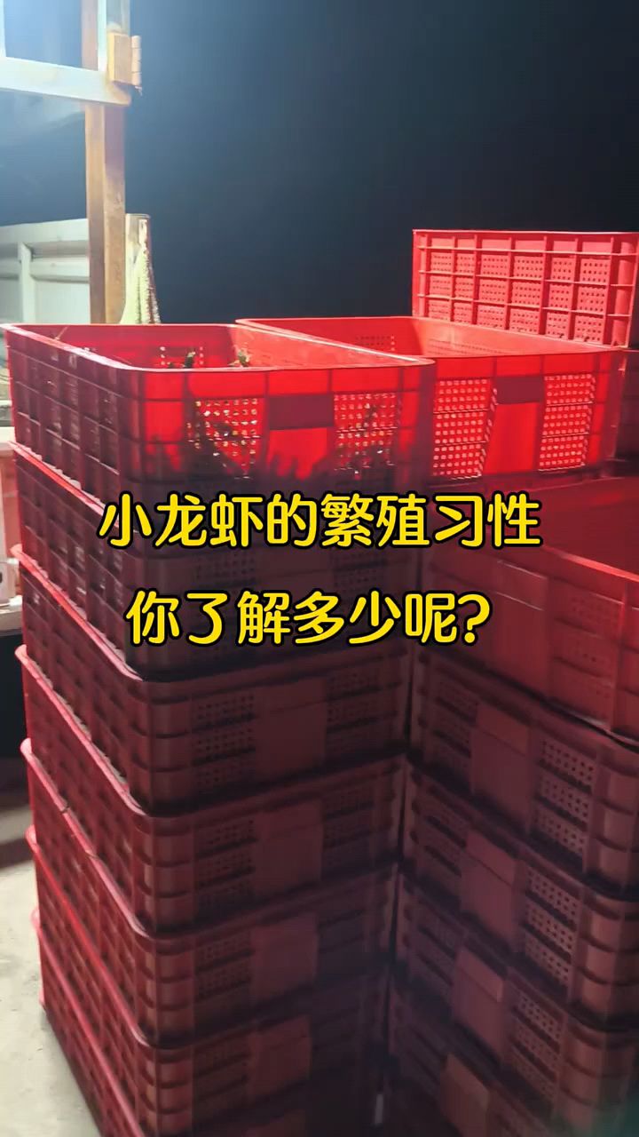 小龙虾的繁殖习性你了解吗