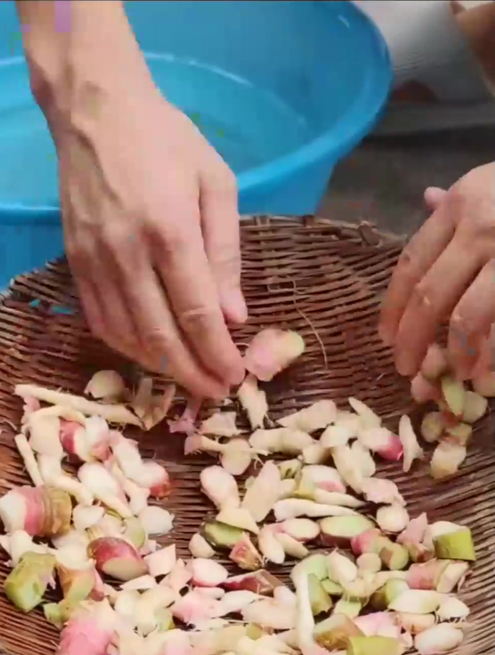 野苋菜也叫刺苋菜,你家乡也有吗