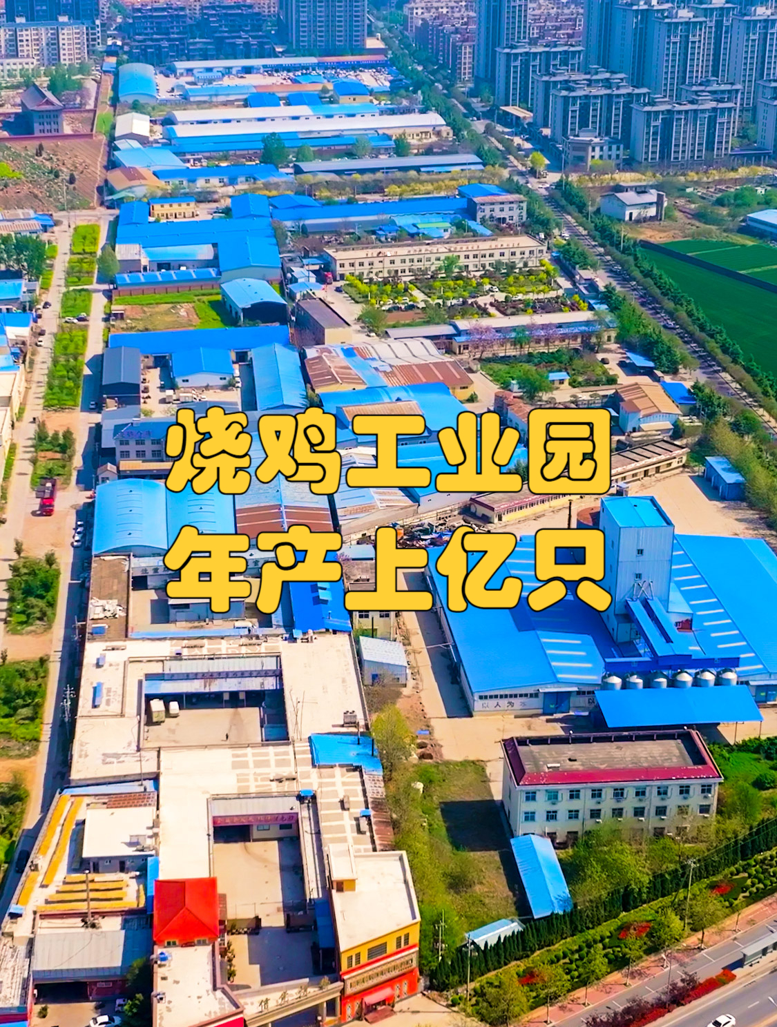 滑县烧鸡工业园,有胡云章、画宝刚等百家道口烧鸡企业,年产亿只