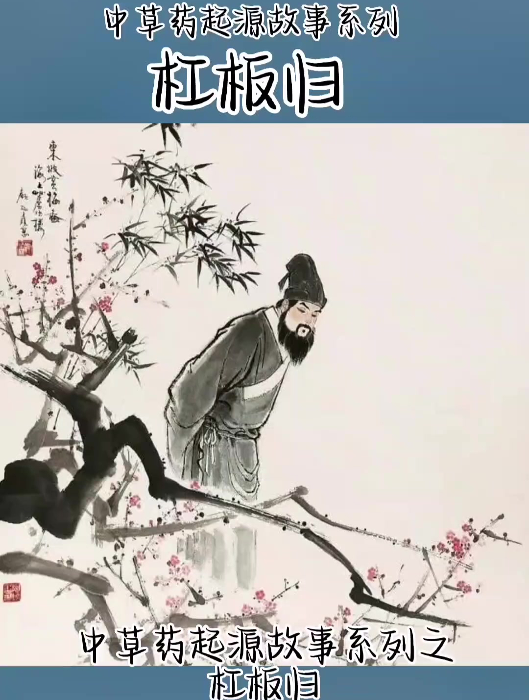 杠板归……中草药植物科普