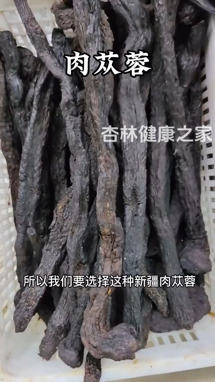 肉苁蓉大家快来了解一下