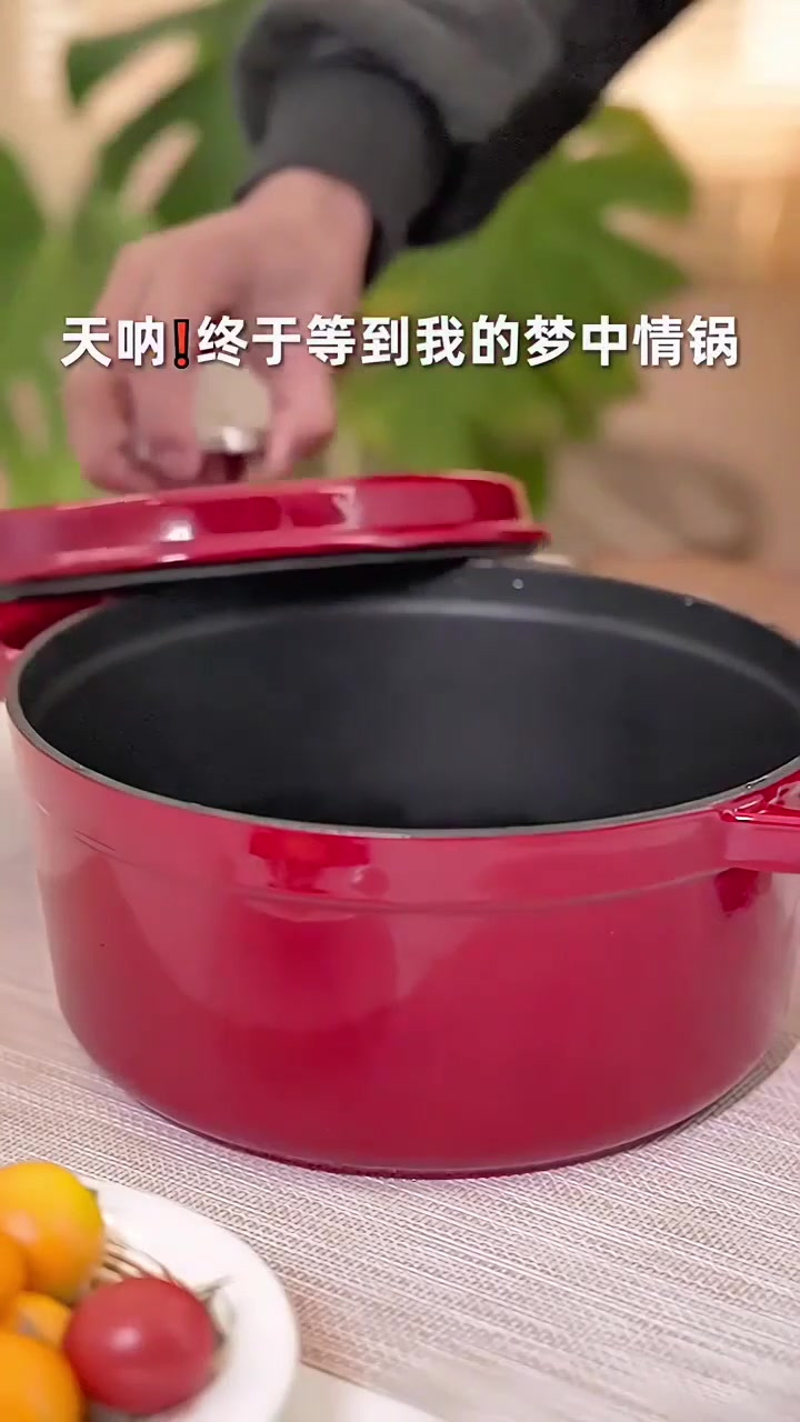 苏泊尔汤锅网红珐琅铸铁锅