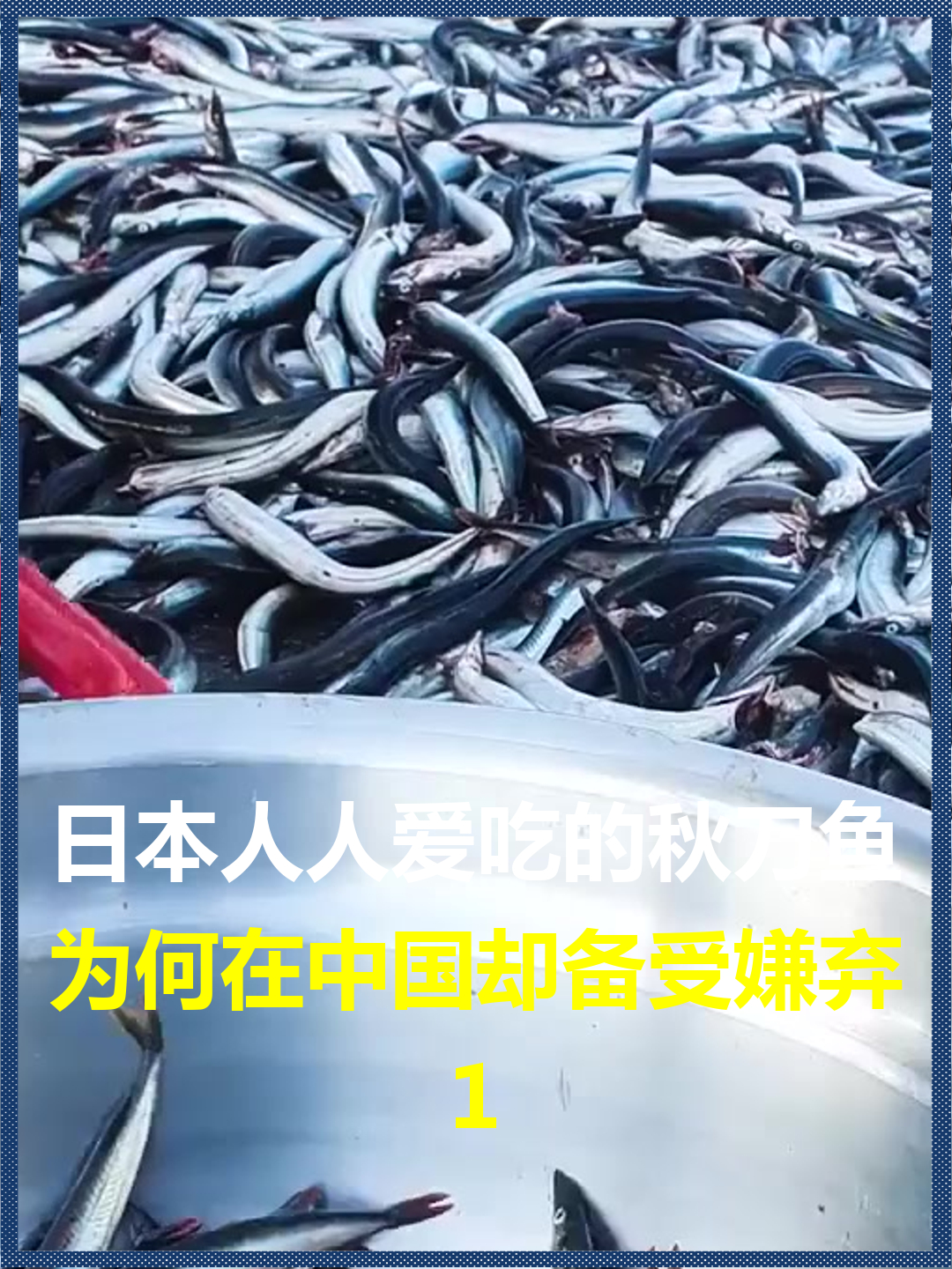日本人人爱吃的秋刀鱼?为何在中国却备受嫌弃