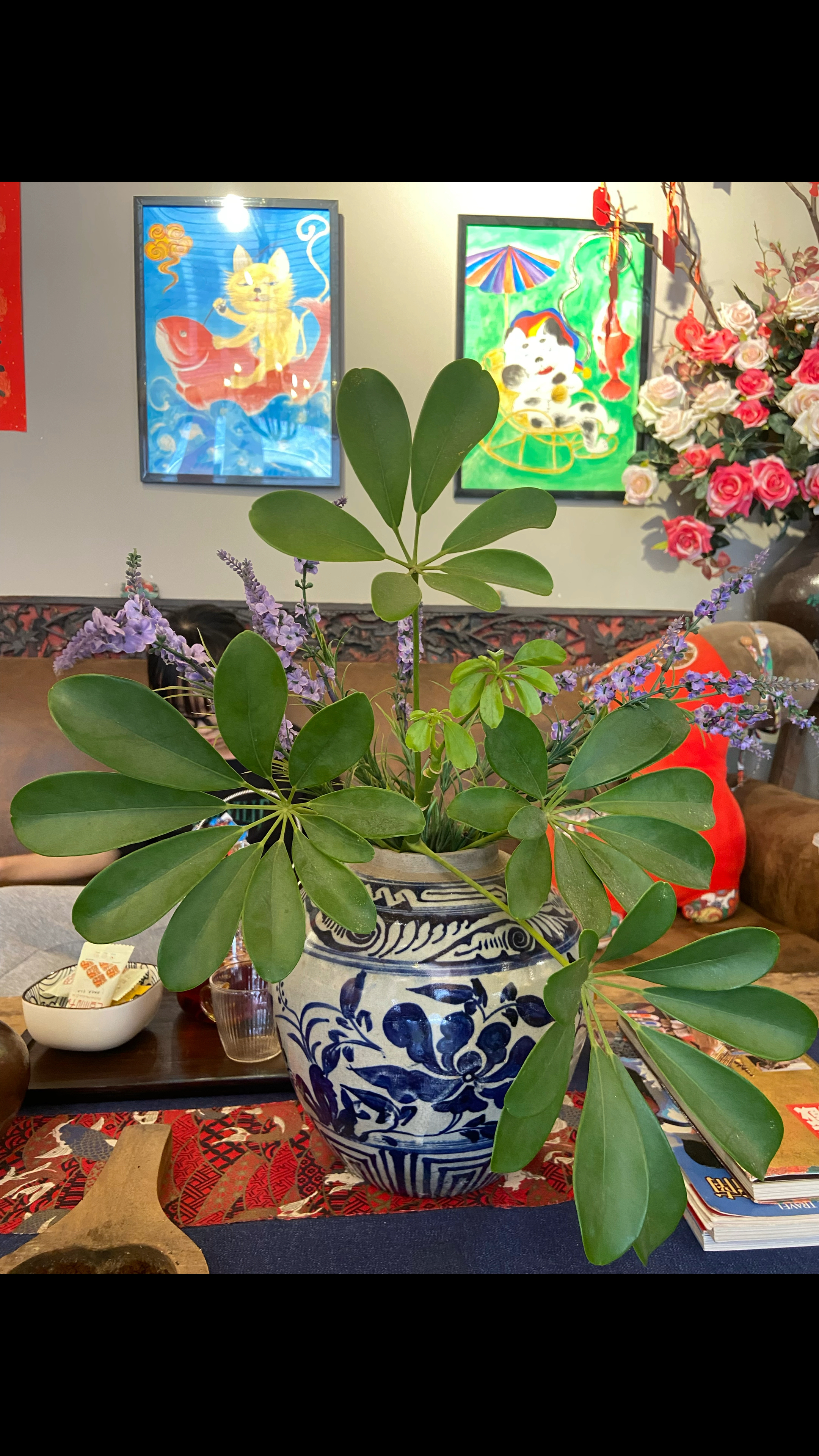 惬意的周末下午茶