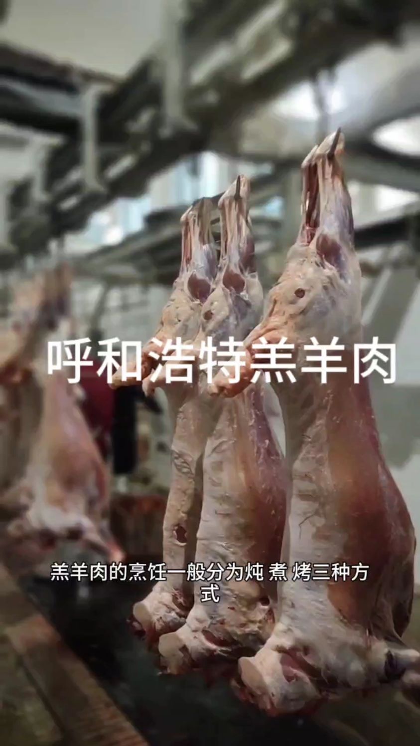 内蒙古羔羊肉。