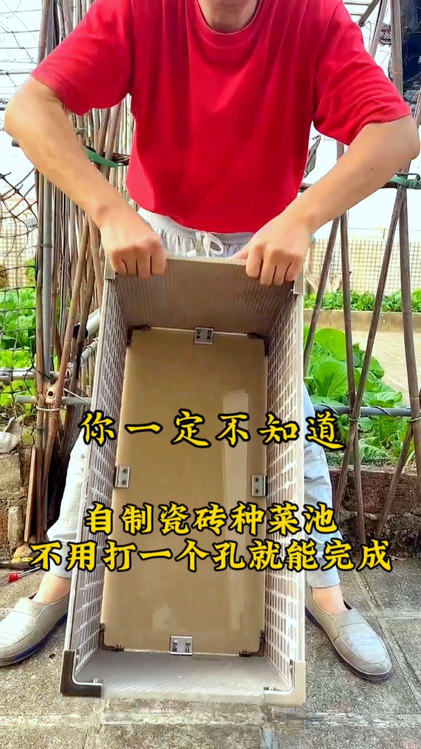 周末在家自制瓷砖种菜池,不用打一个孔就能完成