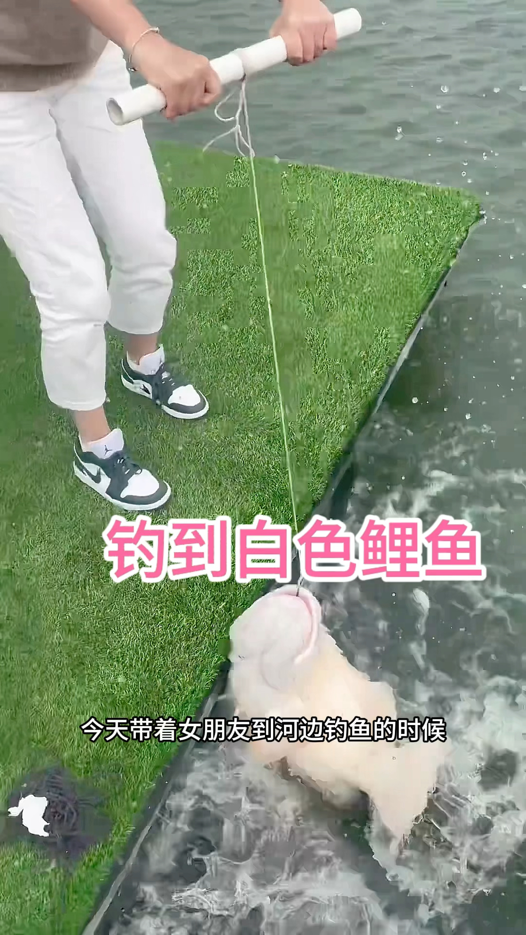 钓到白色鲤鱼