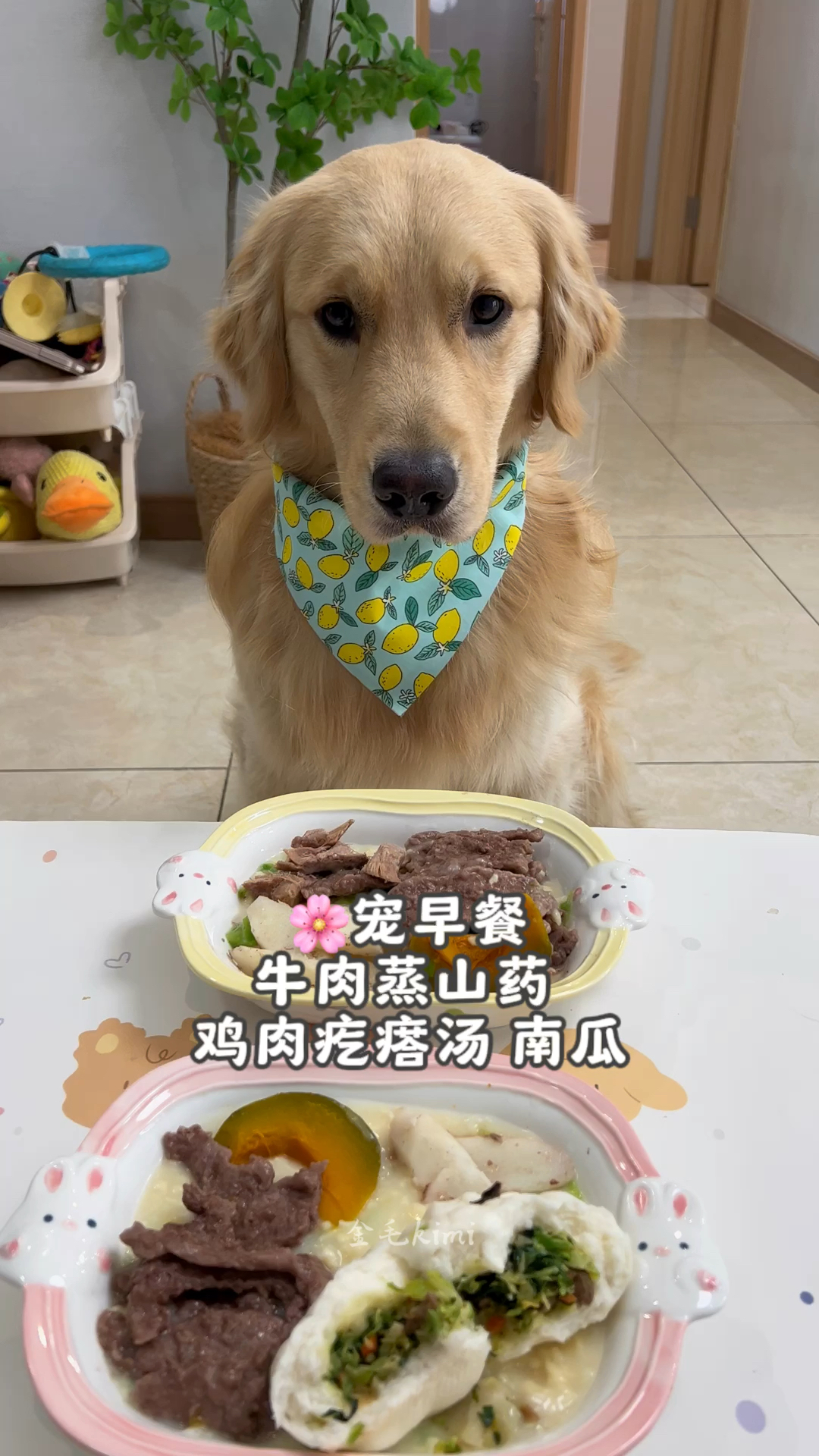 宠早餐,牛肉蒸山药,鸡肉疙瘩汤,特别适合肠胃不好的毛孩子