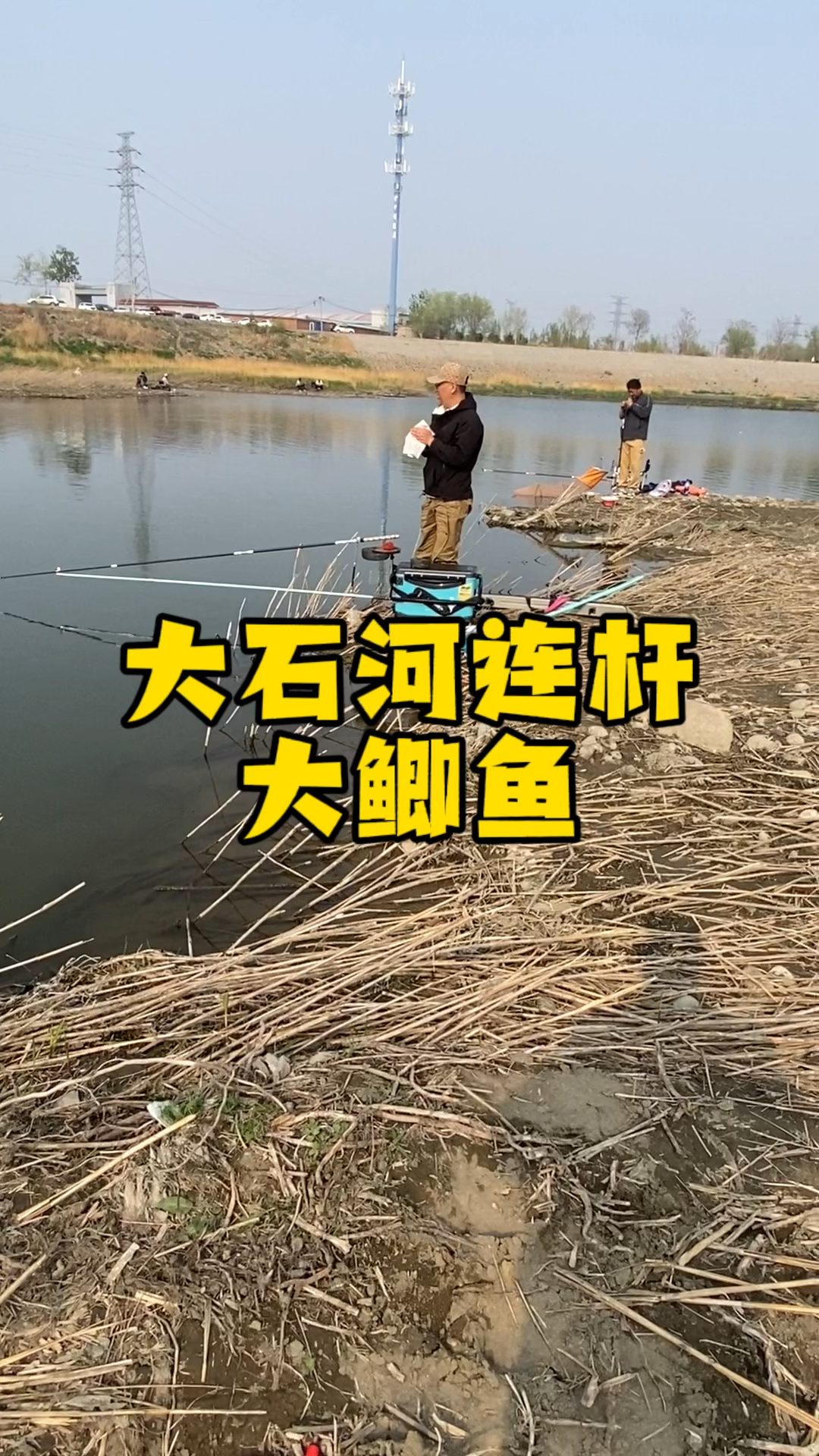 野钓大石河大鲫鱼